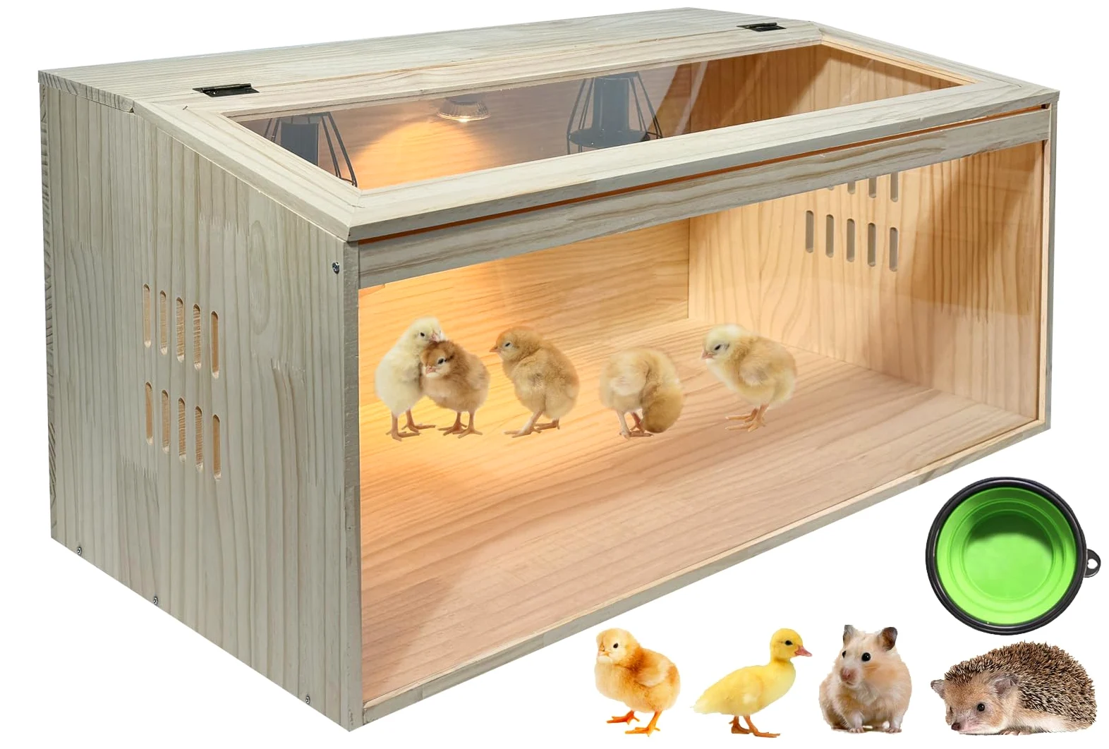 Caja grande de 20 piezas para criar pollos, caja de incubadora todo en uno, para pollitos, codorniz, hámsters, capacidad de hasta 35 pollitos, patrón B, 32 pulgadas de largo x 16 pulgadas de ancho x
