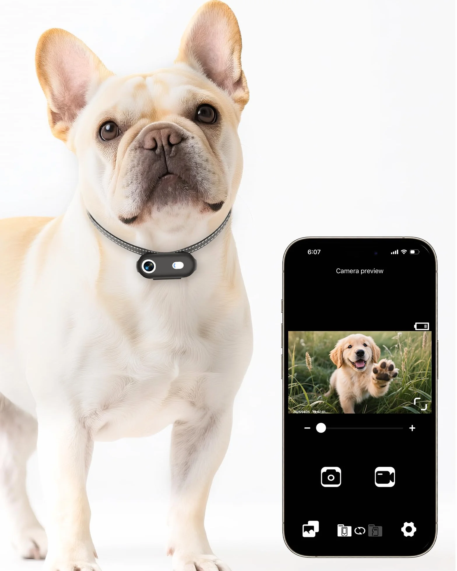 Collar de cámara para perros y gatos con aplicación para teléfono, grabación de video HD 1080P, cámara POV para mascotas tamaño XS/M para perros y gatos grandes, cámaras inalámbricas para mascotas con