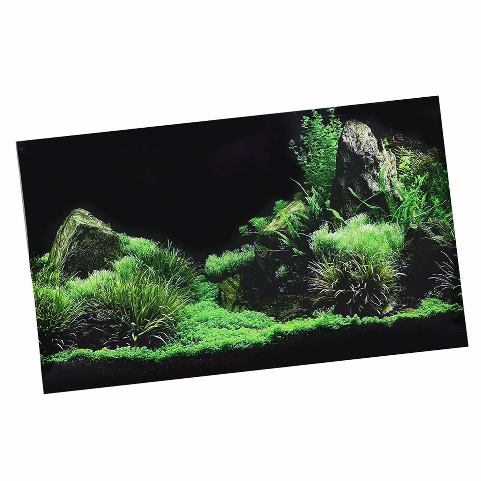 Ejoyous Fondo de acuario, PVC autoadhesivo, fondo de mar, agua, hierba, decoración de fondo, pintura de PVC, pegatinas 3D, submarinas, decoración de acuario, fondos de decoración para acuarios (61 x
