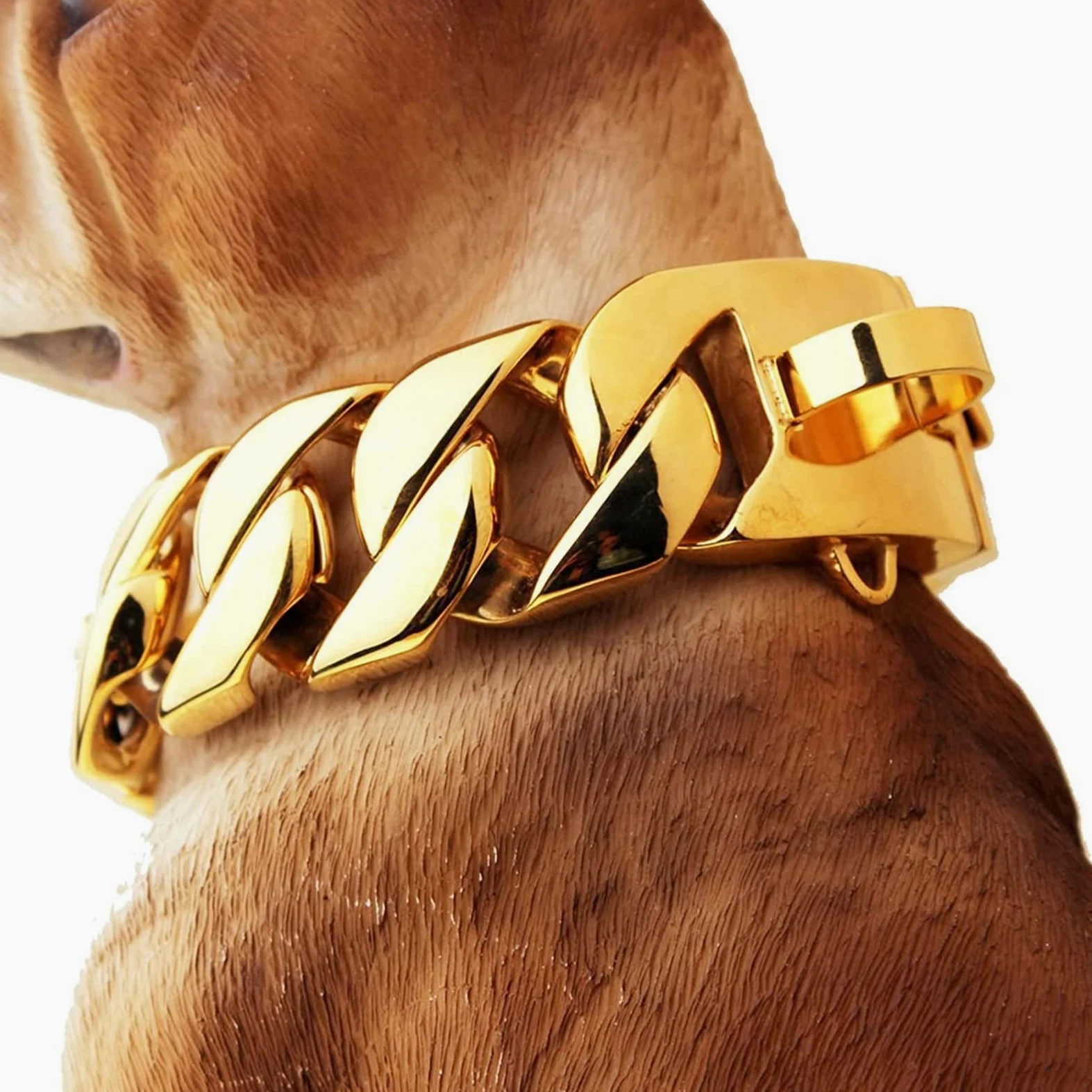 Multicolor,40cm/16in, Collar de Cadena de Metal Resistente para Perros, de Acero Inoxidable Dorado Resistente con Hebilla de Seguridad para Perros PequeñOs, Medianos y Grandes