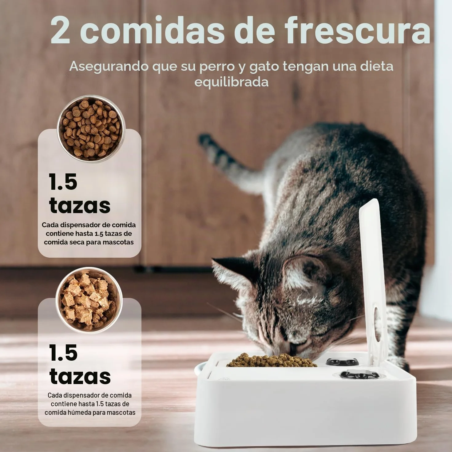 ALL FOR PAWS Comedero automático para gatos y perros de 2 comidas - Dispensador de alimentos secos y húmedos, temporizador de 48 horas, paquete de hielo incluido, apto para lavavajillas, blanco