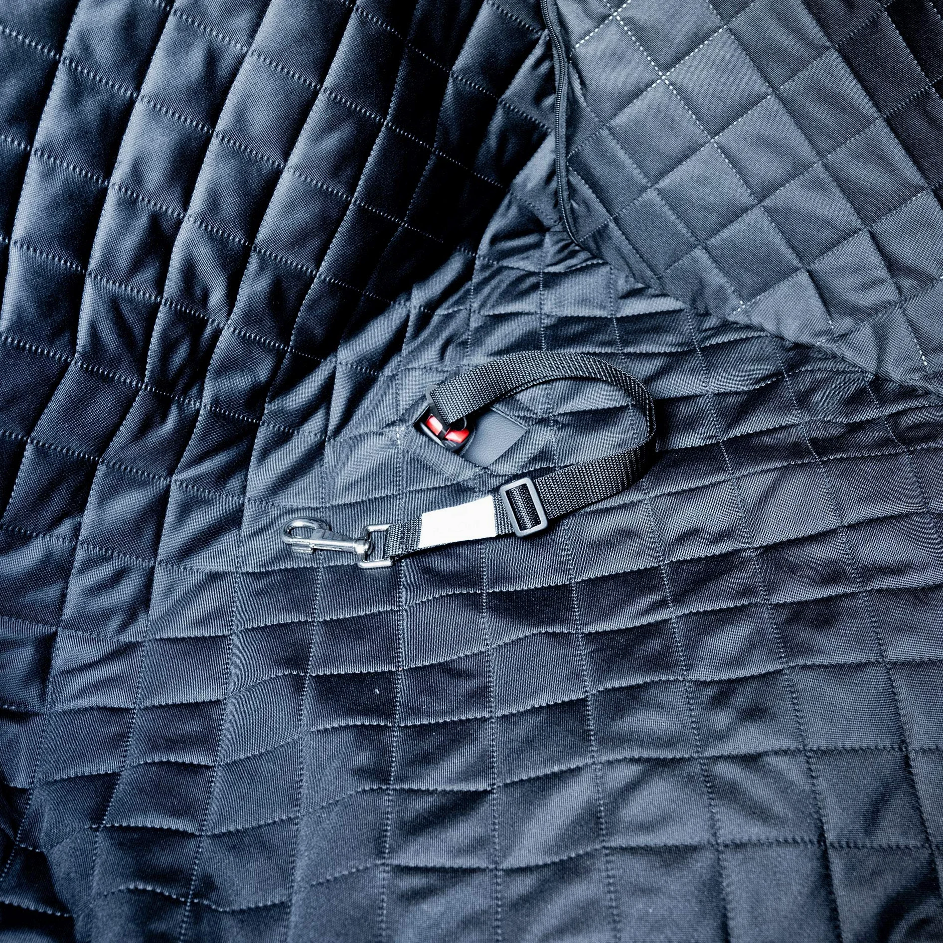 BedDog Cubierta de Asiento Trasero, Funda de Coche para Perro, Protector de Asiento para Mascota, Alfombra - Asiento Trasero