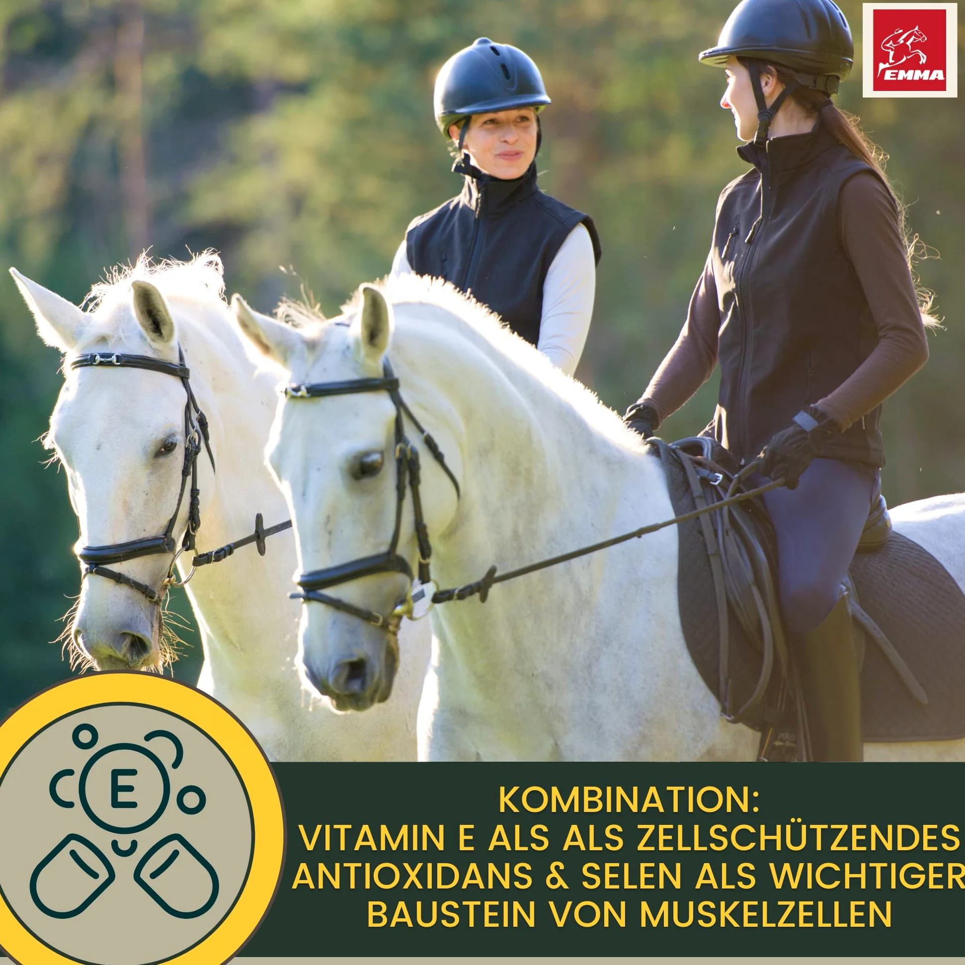 EMMA Alimento mineral y biotina para caballos – Biotin Zinc Pellets para pezuñas, piel y pelo • Minerales con zinc, selenio, magnesio, levadura de cerveza y vitaminas para el crecimiento de pezuñas