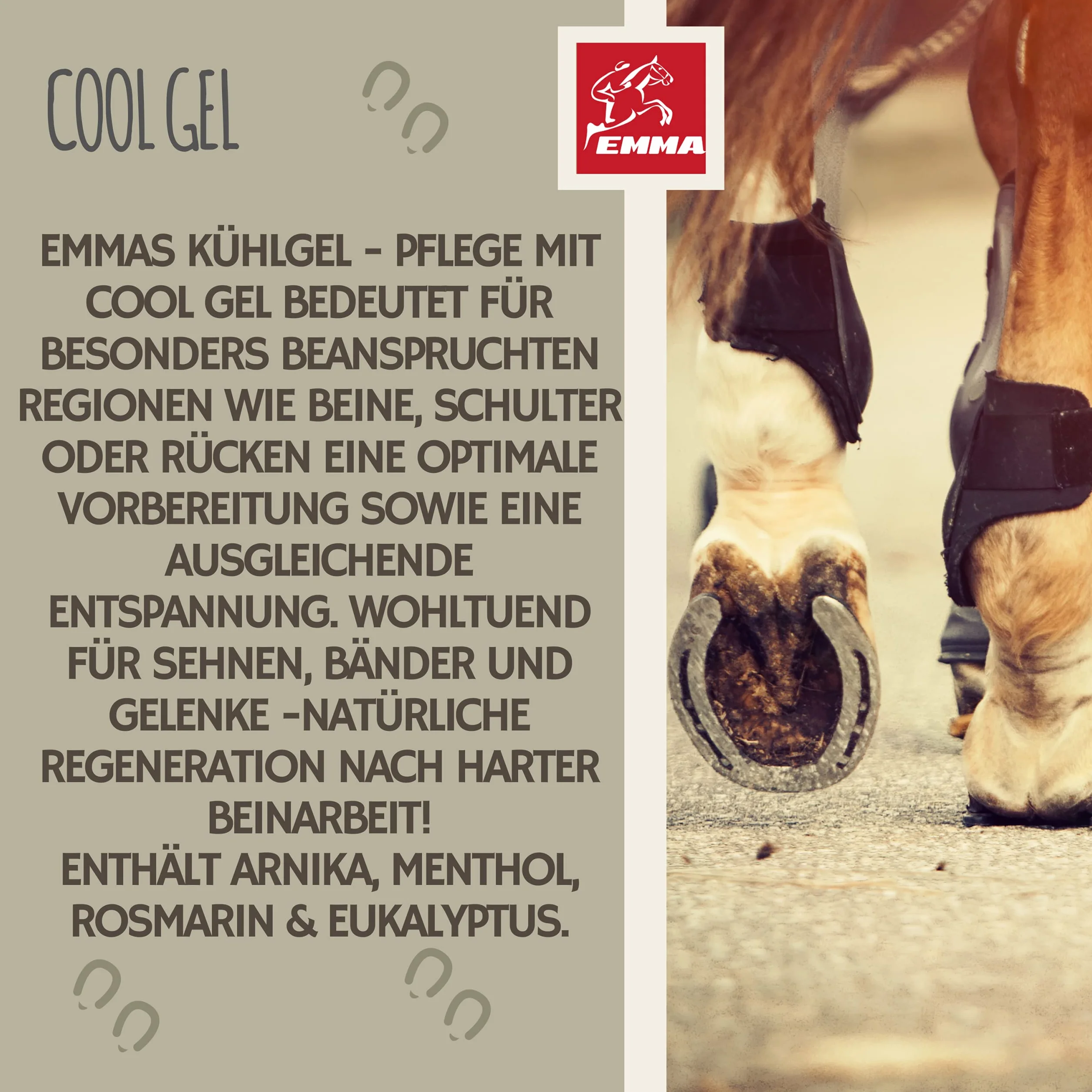 EMMA Bálsamo para Caballos 1000ml Gel Refrescante con Pomada de Árnica Gel Extra Fuerte I Tendones, Ligamentos y Músculos I Pomada Refrescante I Pomada con Gel Crema de Árnica Masaje para Músculos