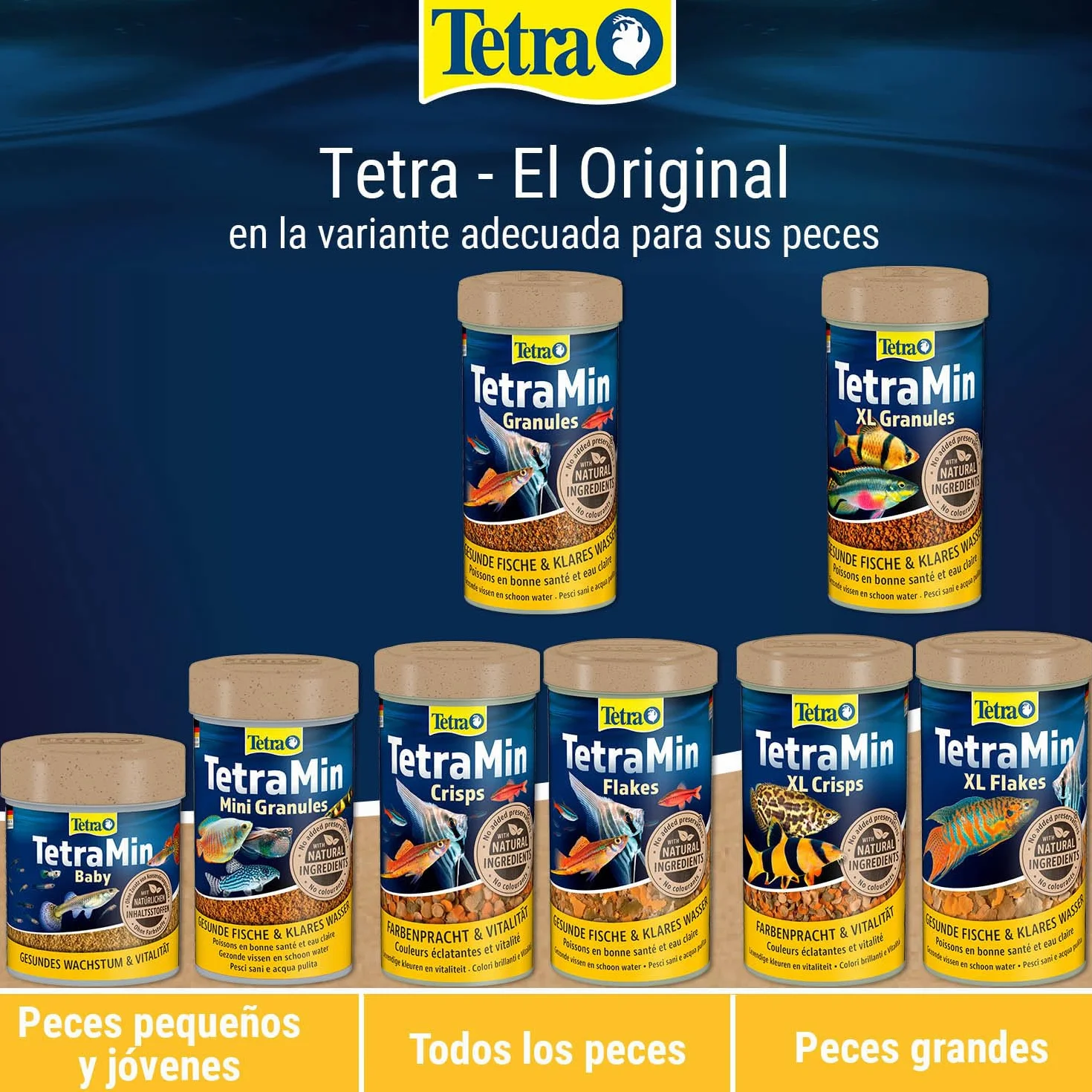 TetraMin Mini Granules - alimento en forma de gránulos de grano fino para los peces ornamentales más pequeños , mezcla equilibrada para peces sanos y agua clara, lata de 100 ml