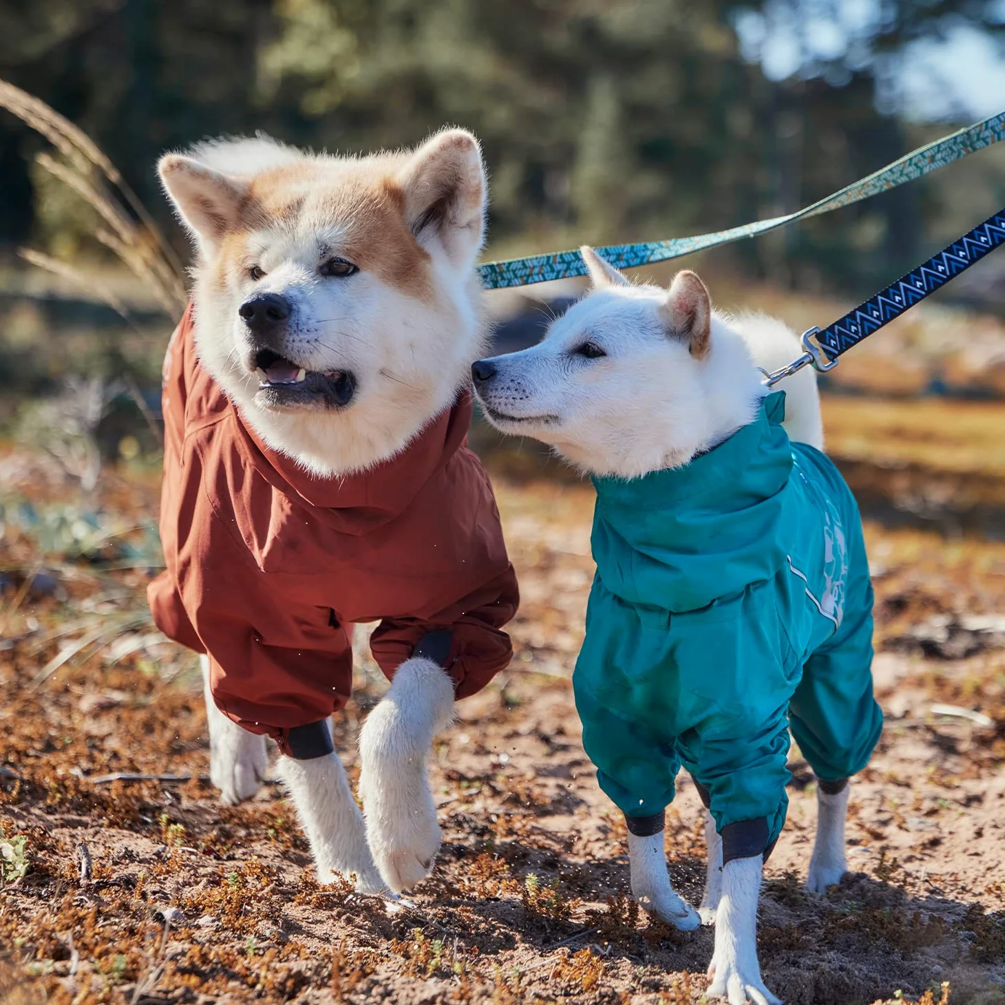 Hurtta Mudventure - Mono impermeable para perro (45 m), color turquesa