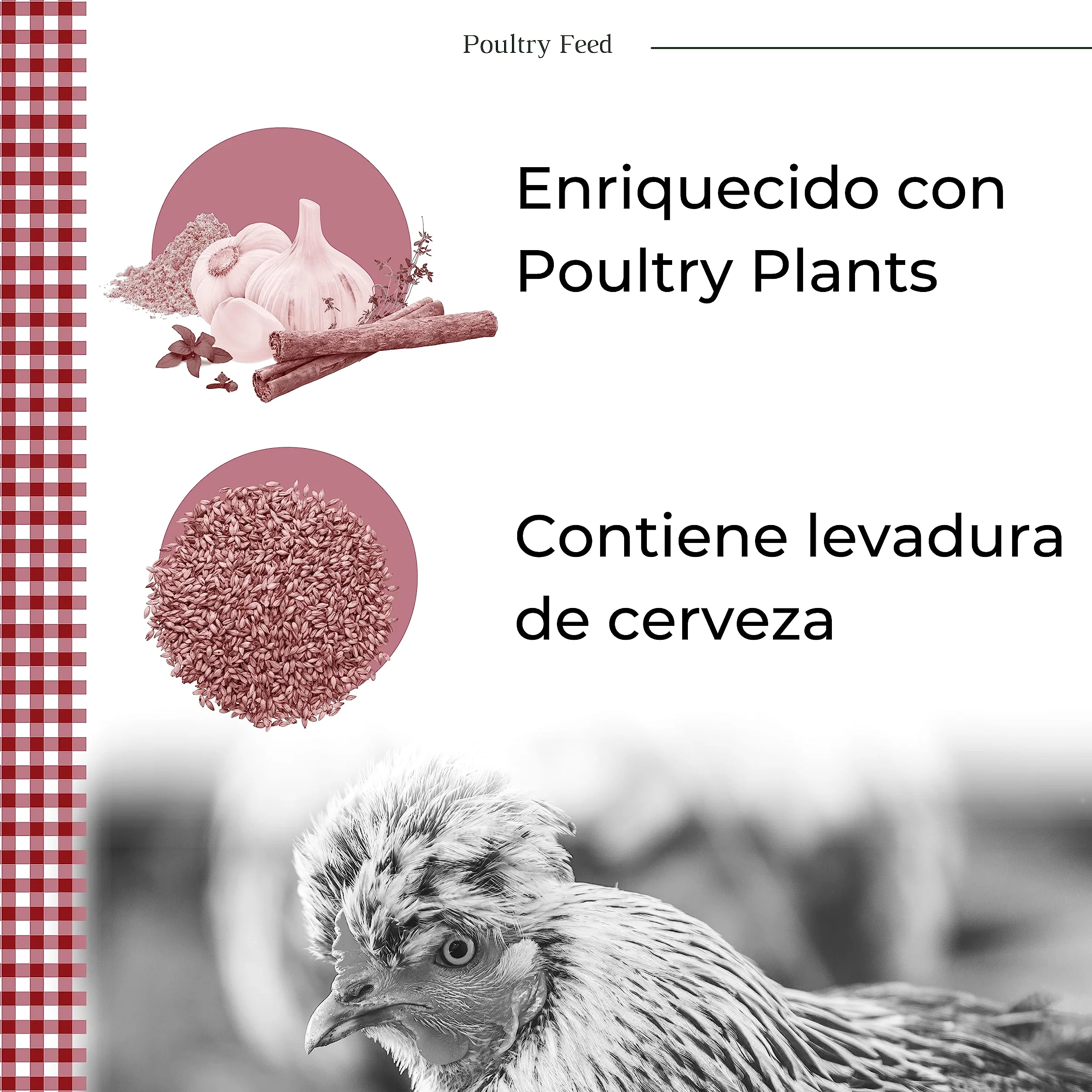 Pienso para Gallinas Ponedoras y Ornamentales | Alimento con Fórmula Exclusiva | Poultry Feed Saco 25 kg | Rico en Proteínas y Grasas Saludables para un Plumaje Vistoso (Pack 6)