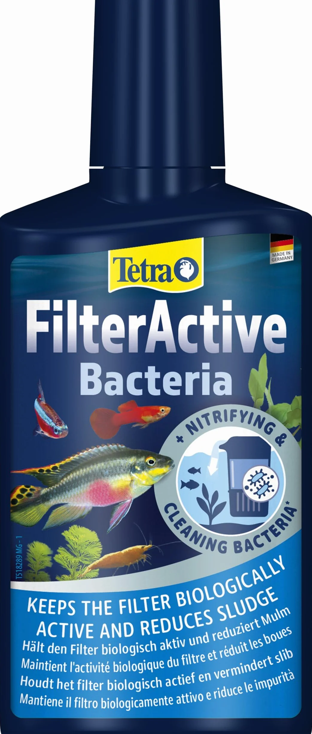 Tetra FilterActive 250 ml - Contiene bacterias iniciadoras vivas y bacterias limpiadoras reductoras de lodo