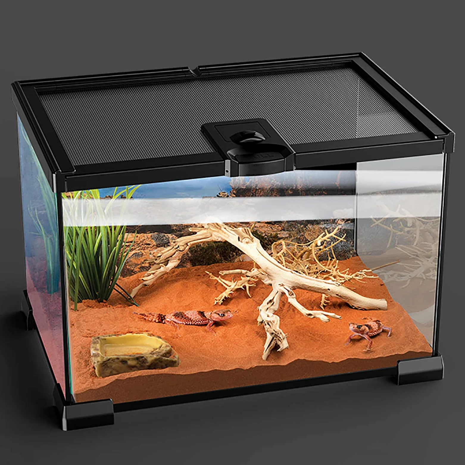 Tanque de Vidrio para Acuario de Reptiles, Caja de Transporte de alimentación de Anfibios Interior para Serpiente Tortuga Lagarto (30x30x29cm)