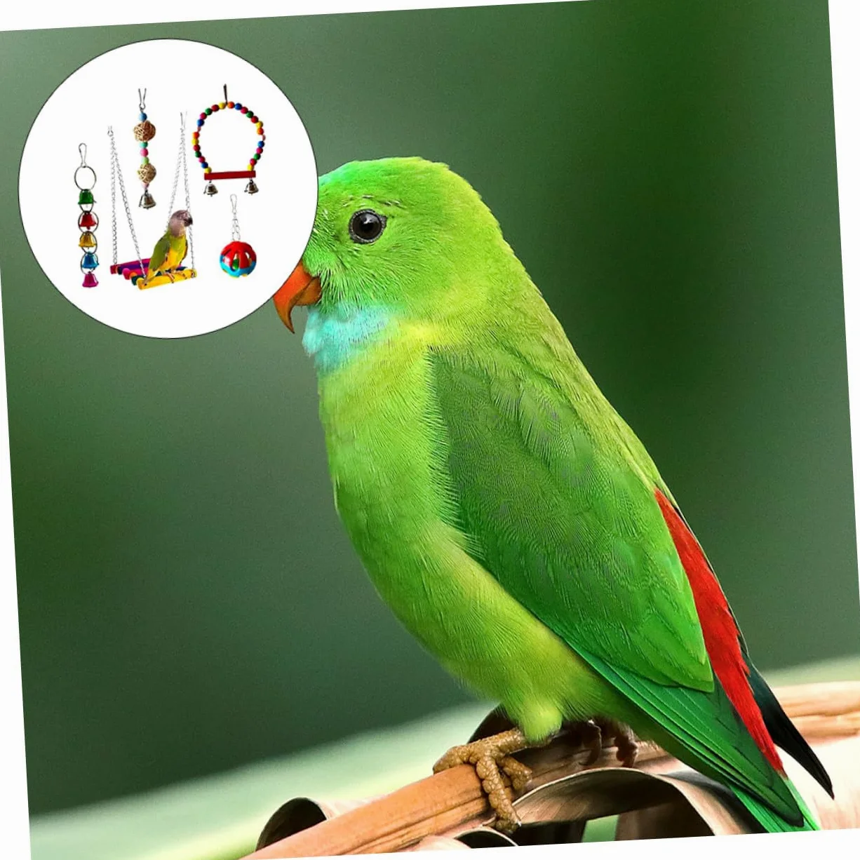 ibasenice 5 Piezas Juguetes para Morder Pájaros Juguete Masticable para Loros Suministros para Mascotas para Loros