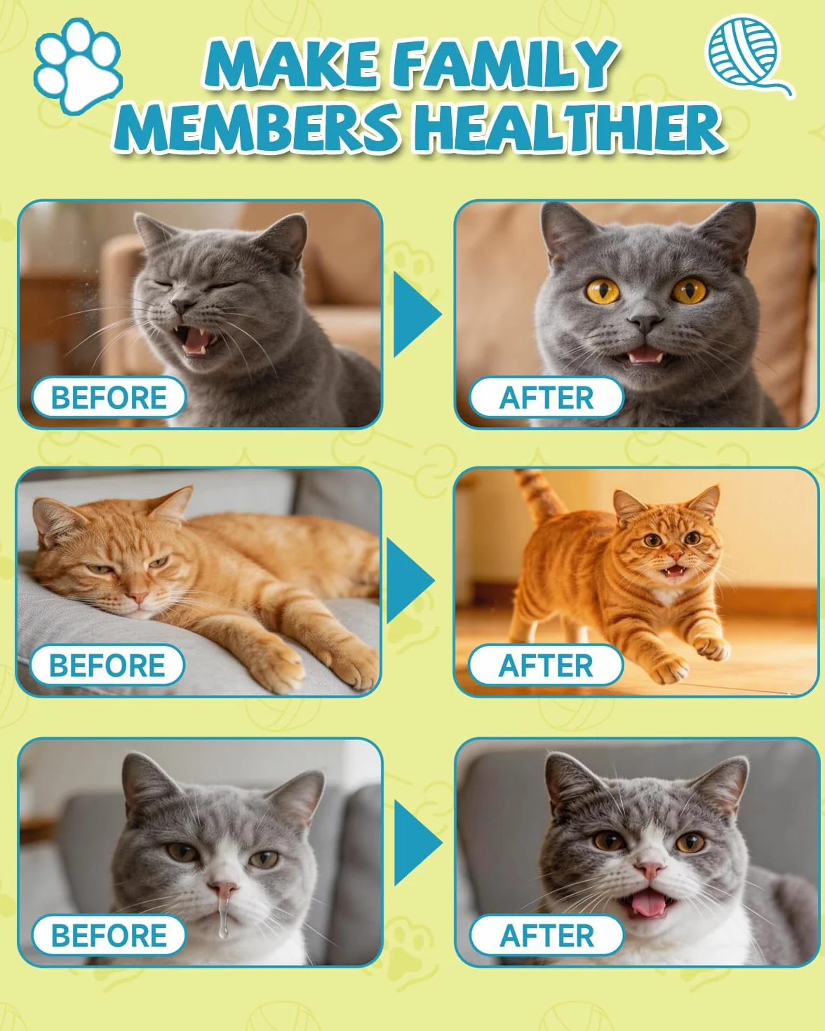 L-Lisina para Gatos - Gotas Lisina para Reforzar Sistema Inmunitario Gatos - Aliviar Alergias en Gatitos, Estornudos, Gripe Felina, Antibióticos para Gatitos con Vitaminas y Minerales, Calostro