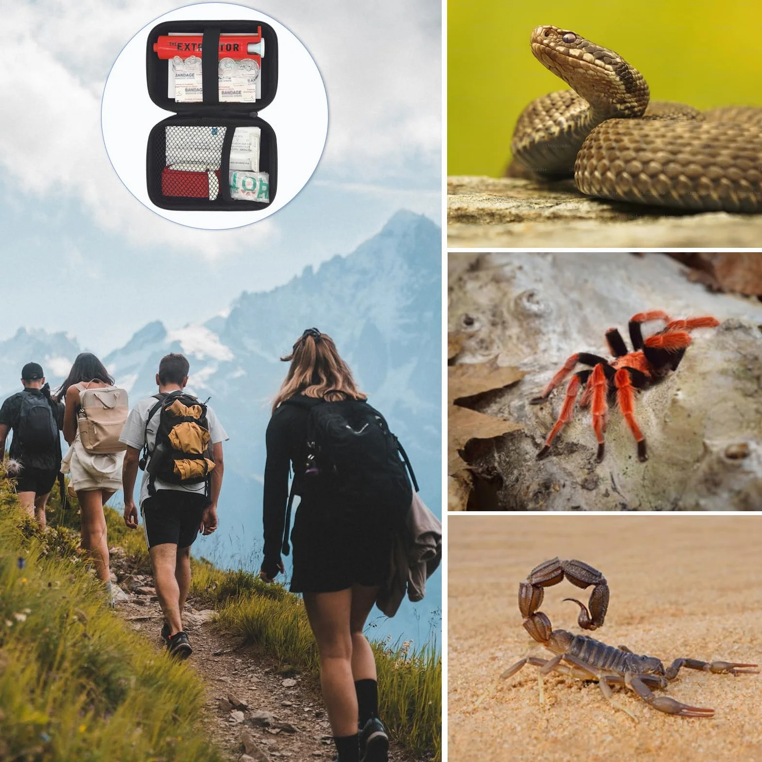 Kit de mordedura de serpiente para humanos, kit de mordida de serpiente de cascabel, kit de picadura de abeja, kit de mordida de serpiente de veneno para perros, kit de extractor de veneno, bomba de