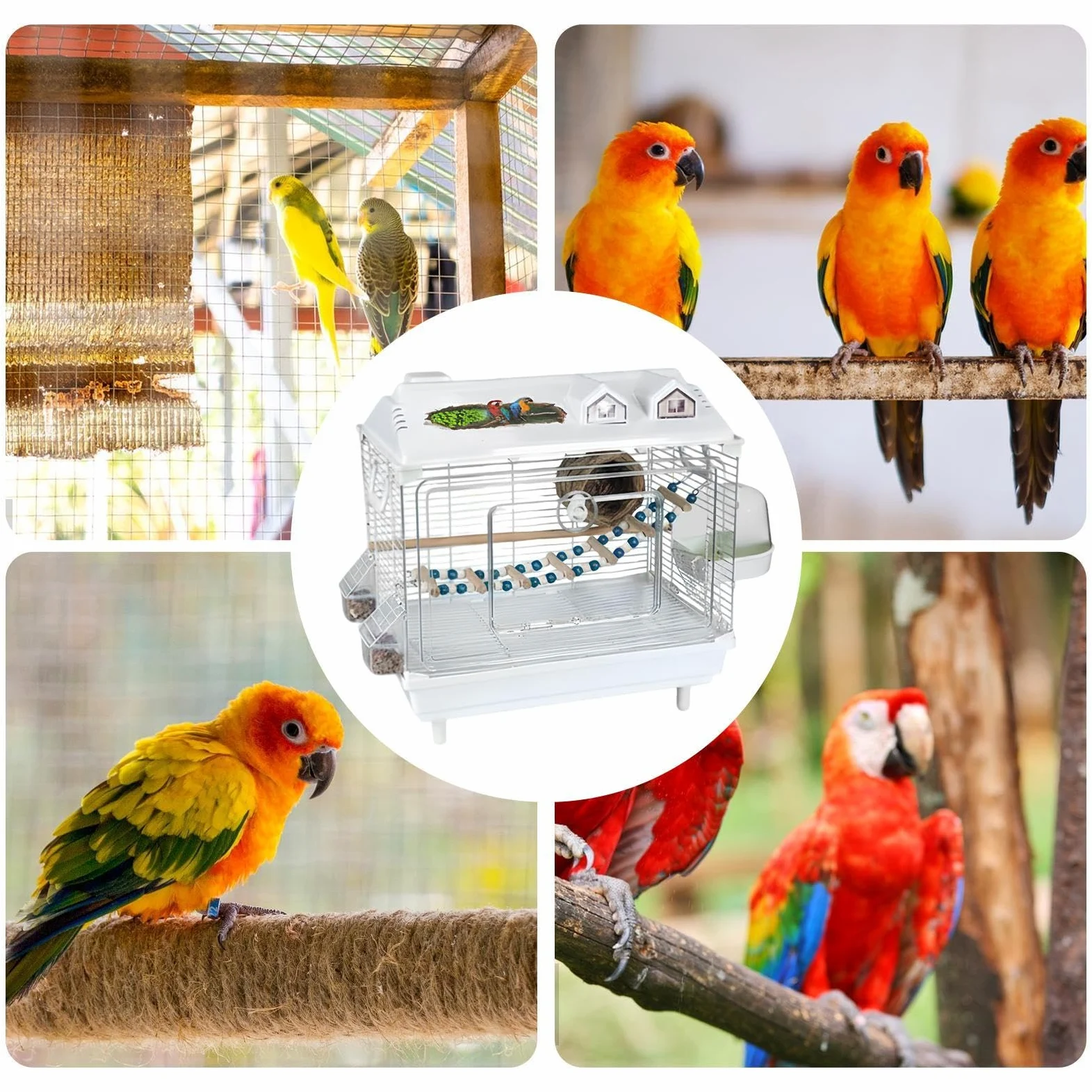 Jaulas para Pájaros y Aves de Compañía Transportín Transparente Portátil | Jaulas Para Pájaros Con Percha De Madera Para Periquitos para Agapornis Pinzones Cotorras Guacamayos Cacatú