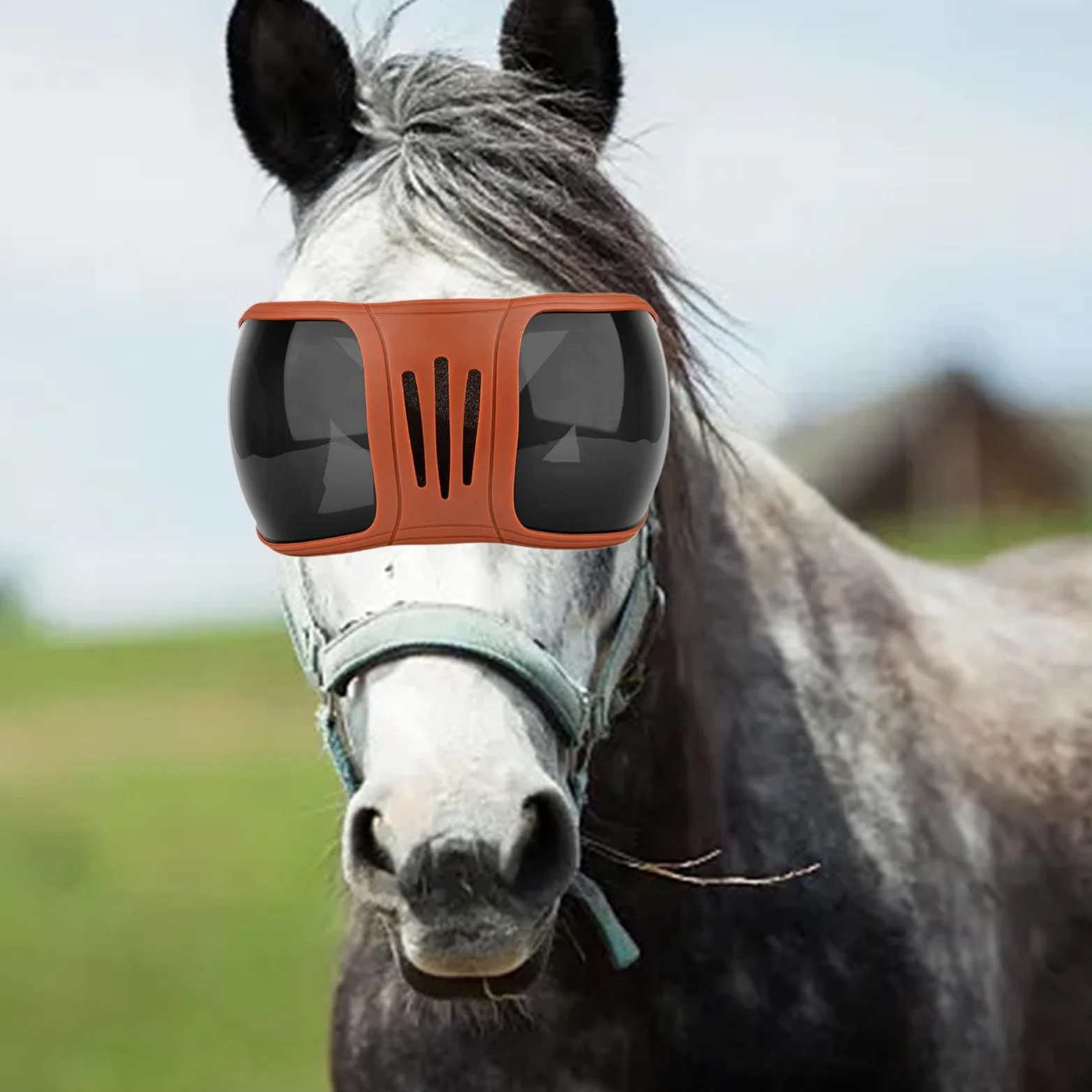 Gafas para Equitación Lentes Protectores para Caballo Prevención de Polvo Protección Solar Montura Ajustable Adecuado para Paseos al Aire Libre
