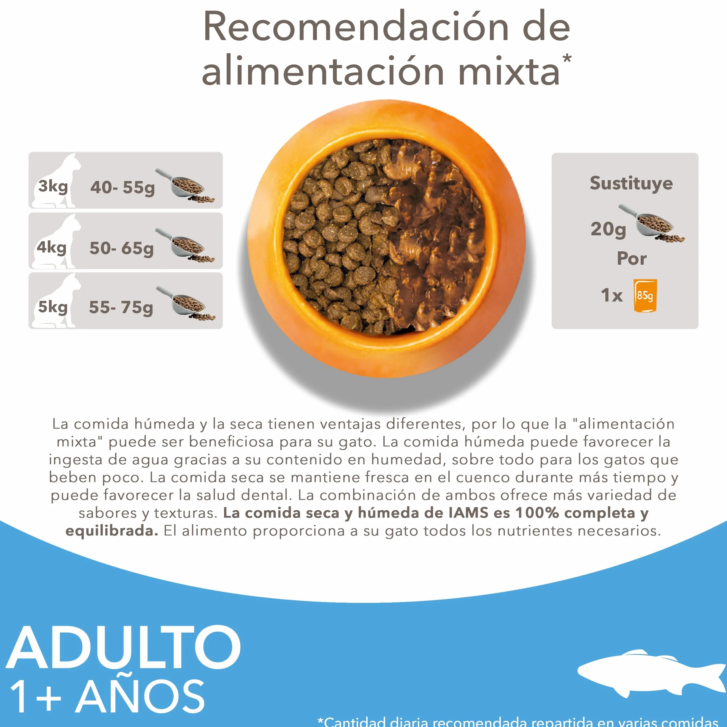 IAMS Alimento seco para Gatos con Pescado oceánico, Comida Seca para Gatos Adultos de más de 1 año, 3 kg
