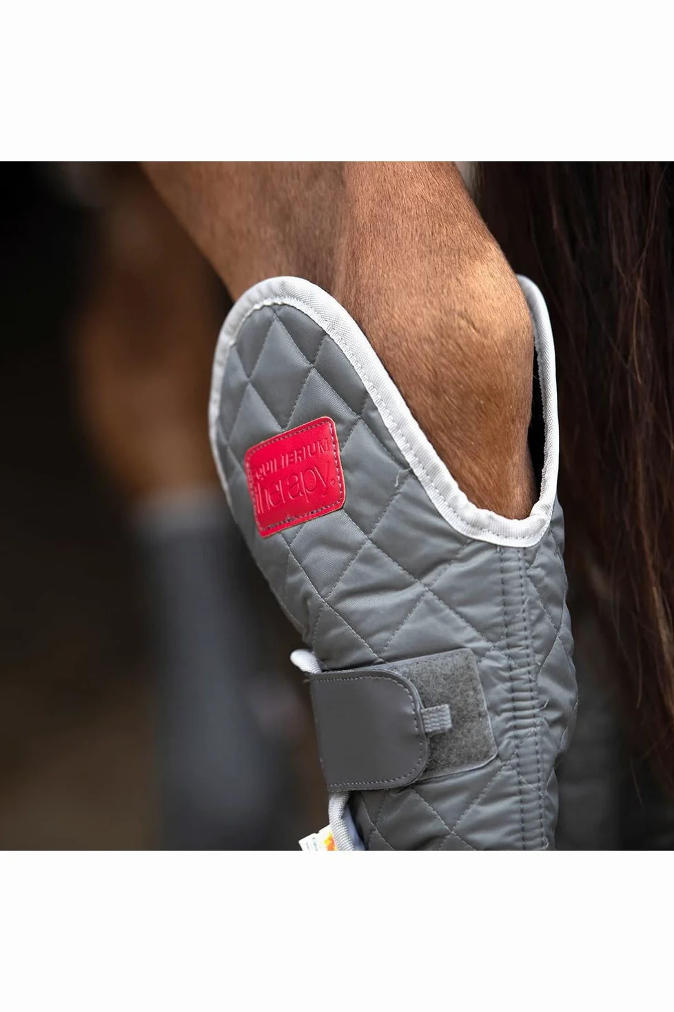 Equilibrium - Vendas para Caballos Hind & Hock Diseño Magnético (XL) (Gris)