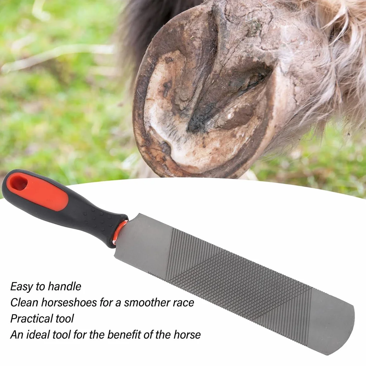 Escofina para Cascos de Caballo de 8 Pulgadas, Lima de Acero con Alto Contenido de Carbono para Recortar herraduras, Herramienta para herrador, Herramienta de herrador de Cabeza Redonda