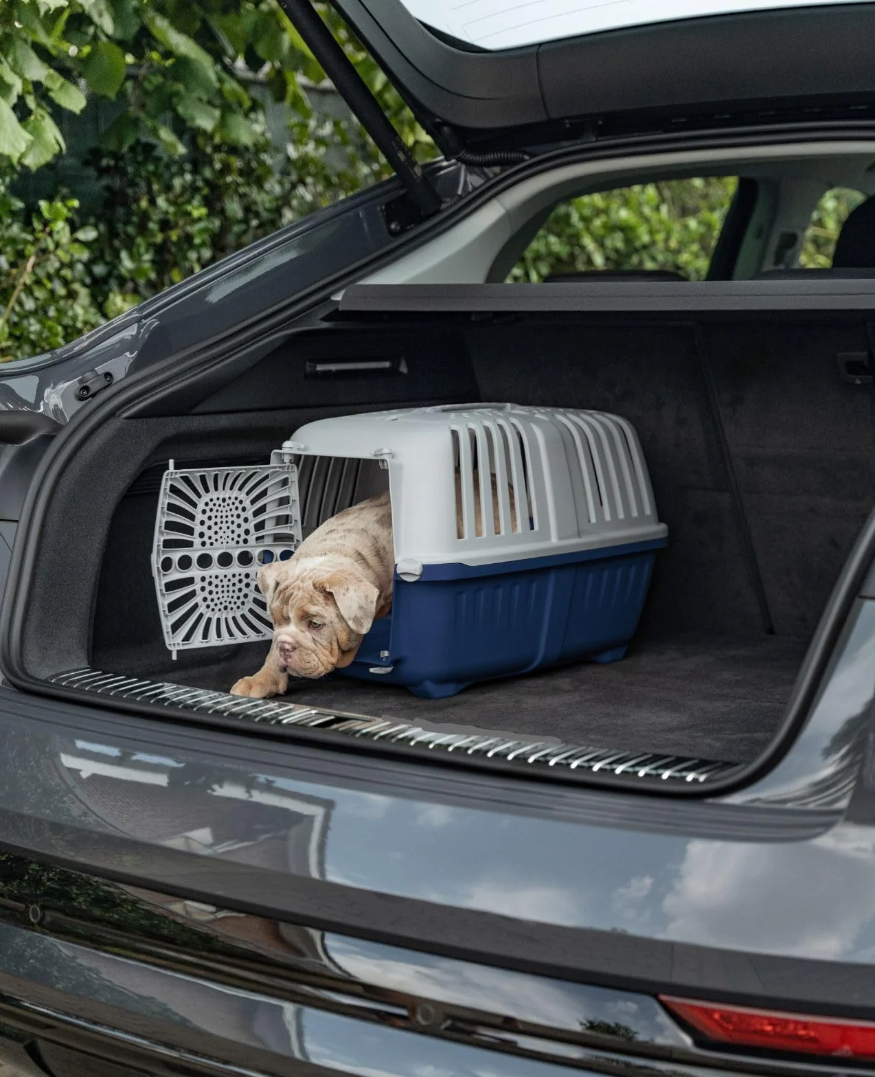 lionto Caja de Transporte de plástico Reciclado para Perros y Gatos, Caja de Transporte para Mascotas, 55x36x36 cm, Azul Oscuro