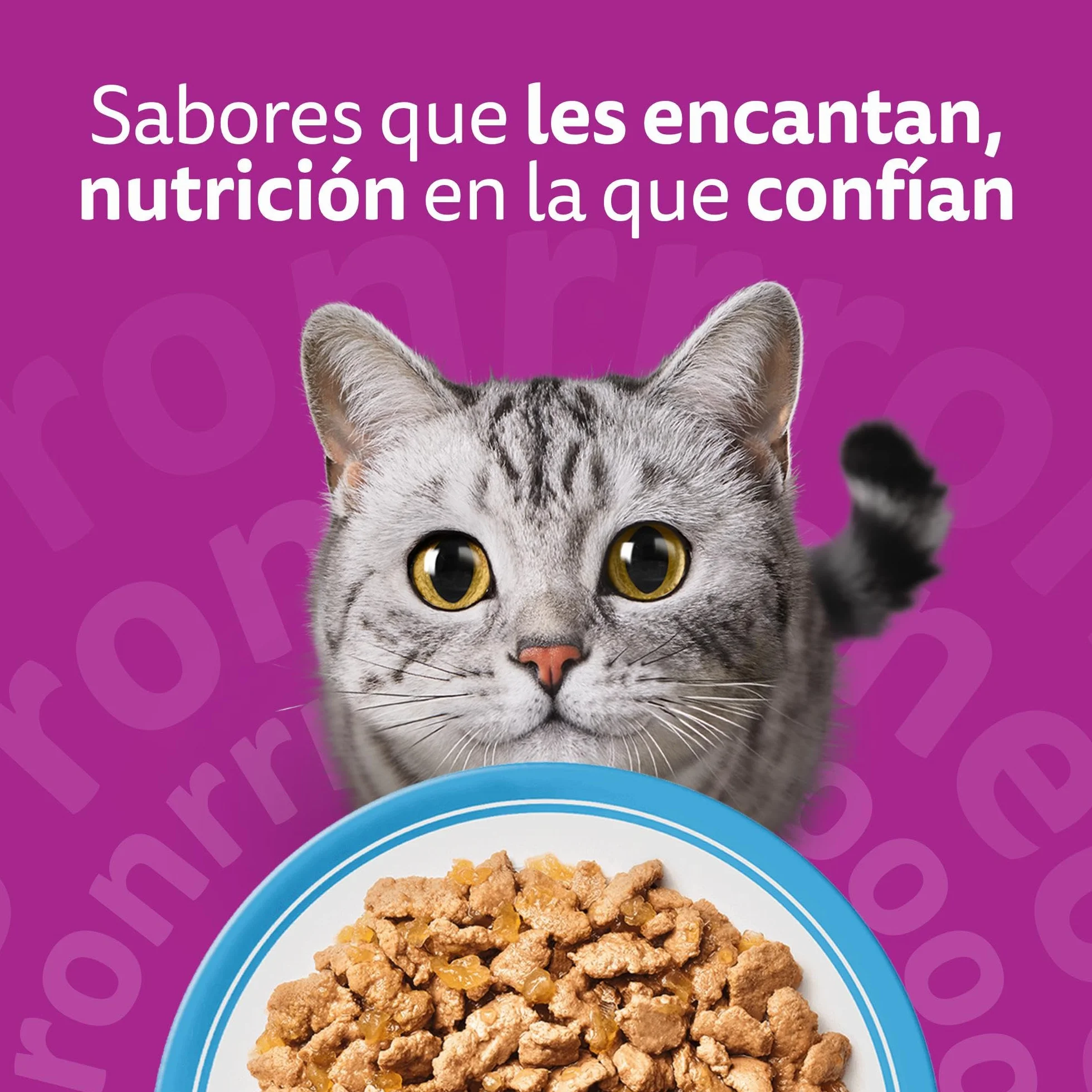 Whiskas Comida Húmeda para Gatos Adultos Selección Pescados en Gelatina (Multipack 4x12x85g)