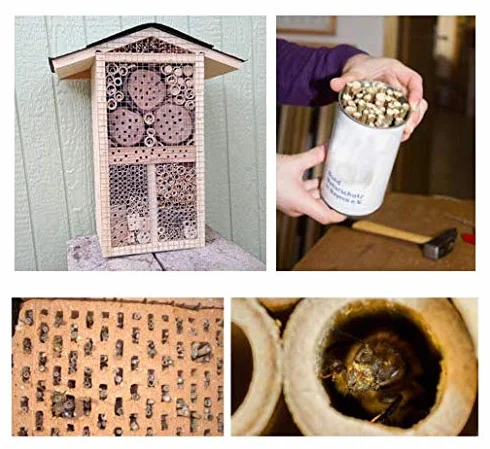 50 tubos de bambú de 10 cm de longitud para construir uno mismo, reutilizables, para casa de insectos, hotel de abejas silvestres, abejas silvestres, hotel de abejas silvestres