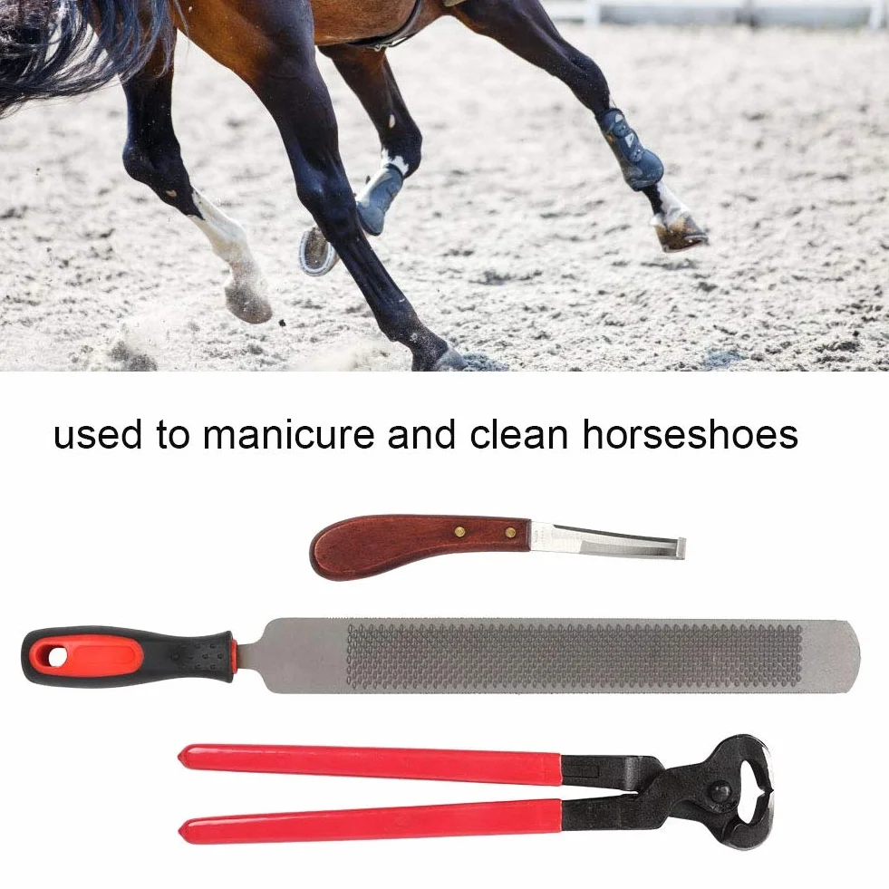 Cosiki Compras Locas Summer Surprise Herramientas de herrador de Caballos, Tijeras de Metal Profesionales Recorte de Caballos Equine Farriers Hoop Nipper Cutter Handle Knife Tools para Caballos/Va