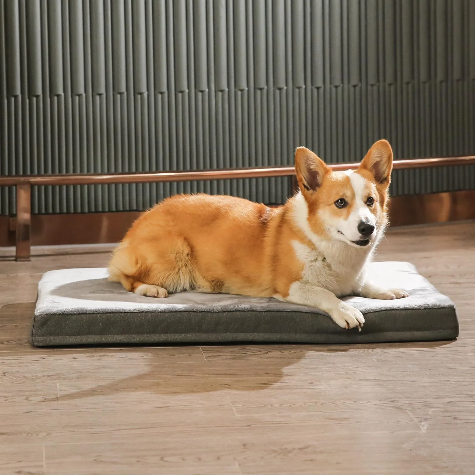 Amazon Basics Colchón grande para perros y mascotas, espuma viscoelástica de gel para soporte, funda extraíble y lavable, gris, 89 x 56 x 8 cm (L x W x H)