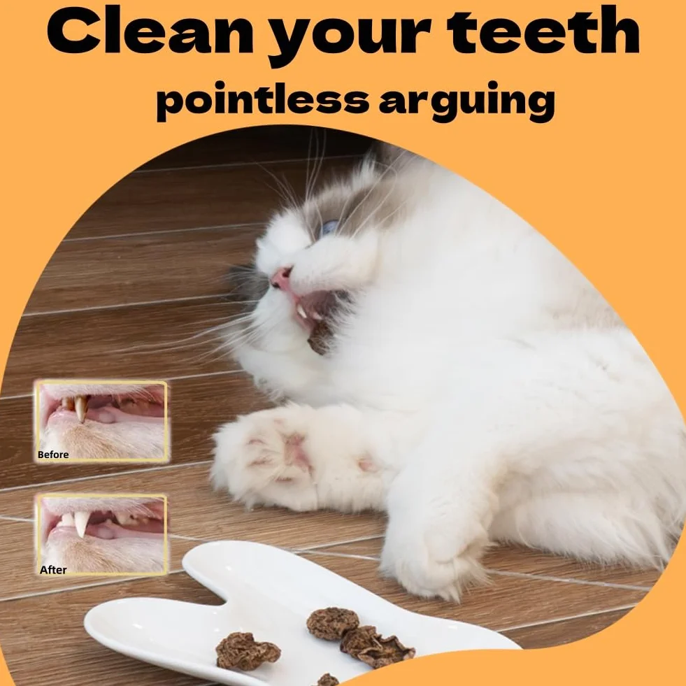 Frutas Matatabi,20pcs Juguetes para Gatos para Limpieza de Dentición,Cat Teething Toys,Snack Gatera para Limpiar Dientes