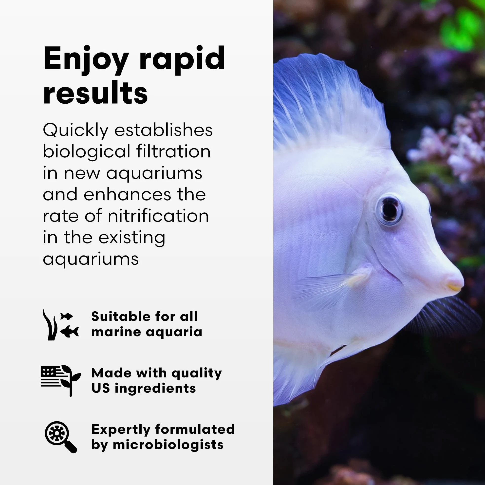 Brightwell Aquatics MicroBacter Start XLM – El arrancador de tanque de bacterias vivas establece rápidamente la filtración biológica en nuevos acuarios marinos y arrecifes
