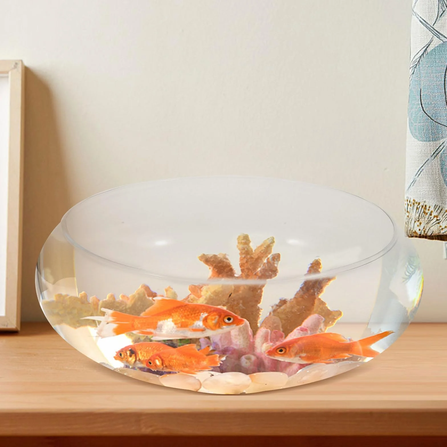 Acuario de Cristal Transparente Redondo para Peces y Plantas, Macetero Hidropónico de Vidrio, Adecuado para Oficina y Decoración de Aniversario