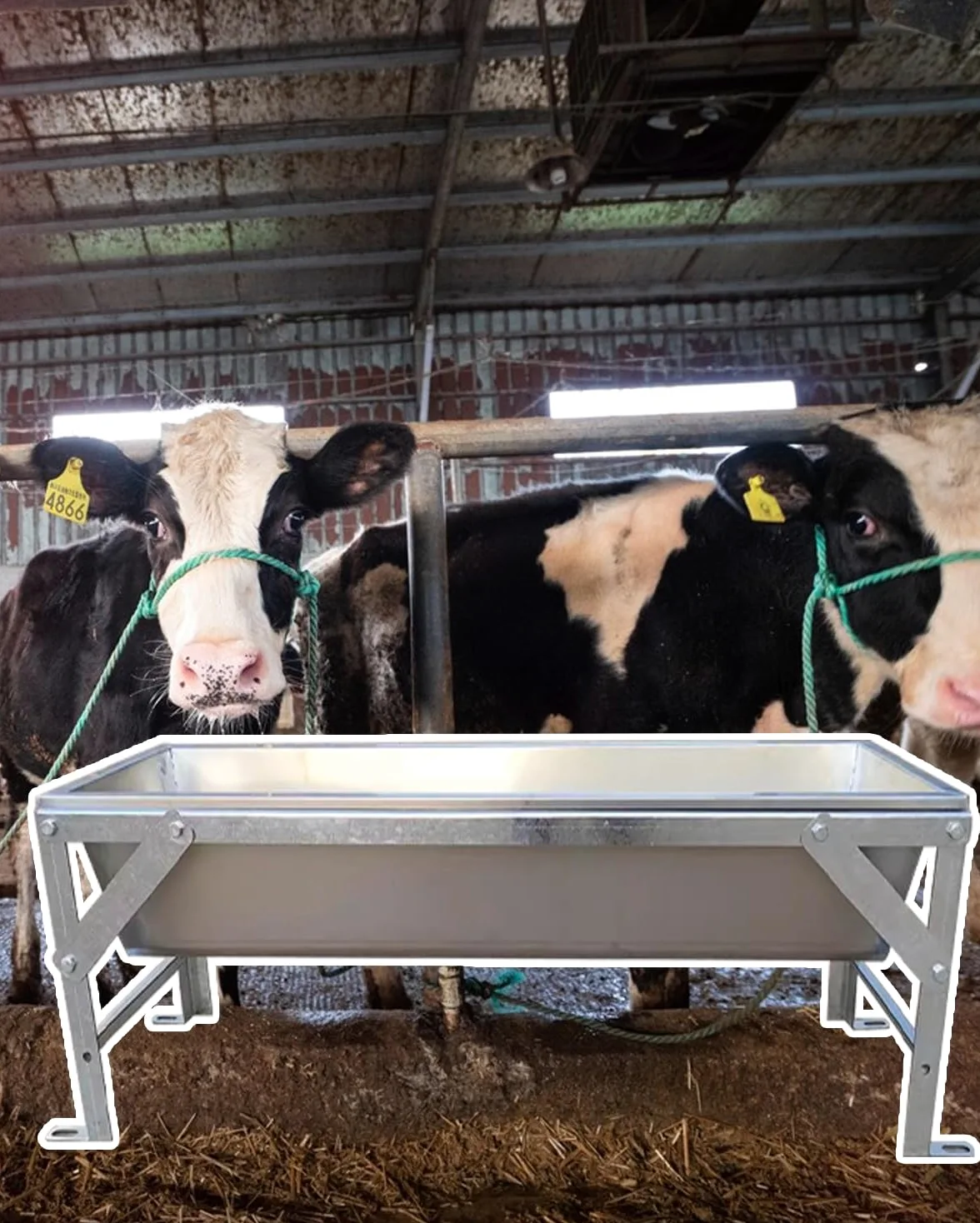 Comedero de Gran Capacidad para Animales de Granja: comedero y Bebedero para Ganado Vacuno, porcino, ovino, caprino y Aves de Corral con Soporte, 100 cm/39 Pulgadas. Ideal para la alimentaci