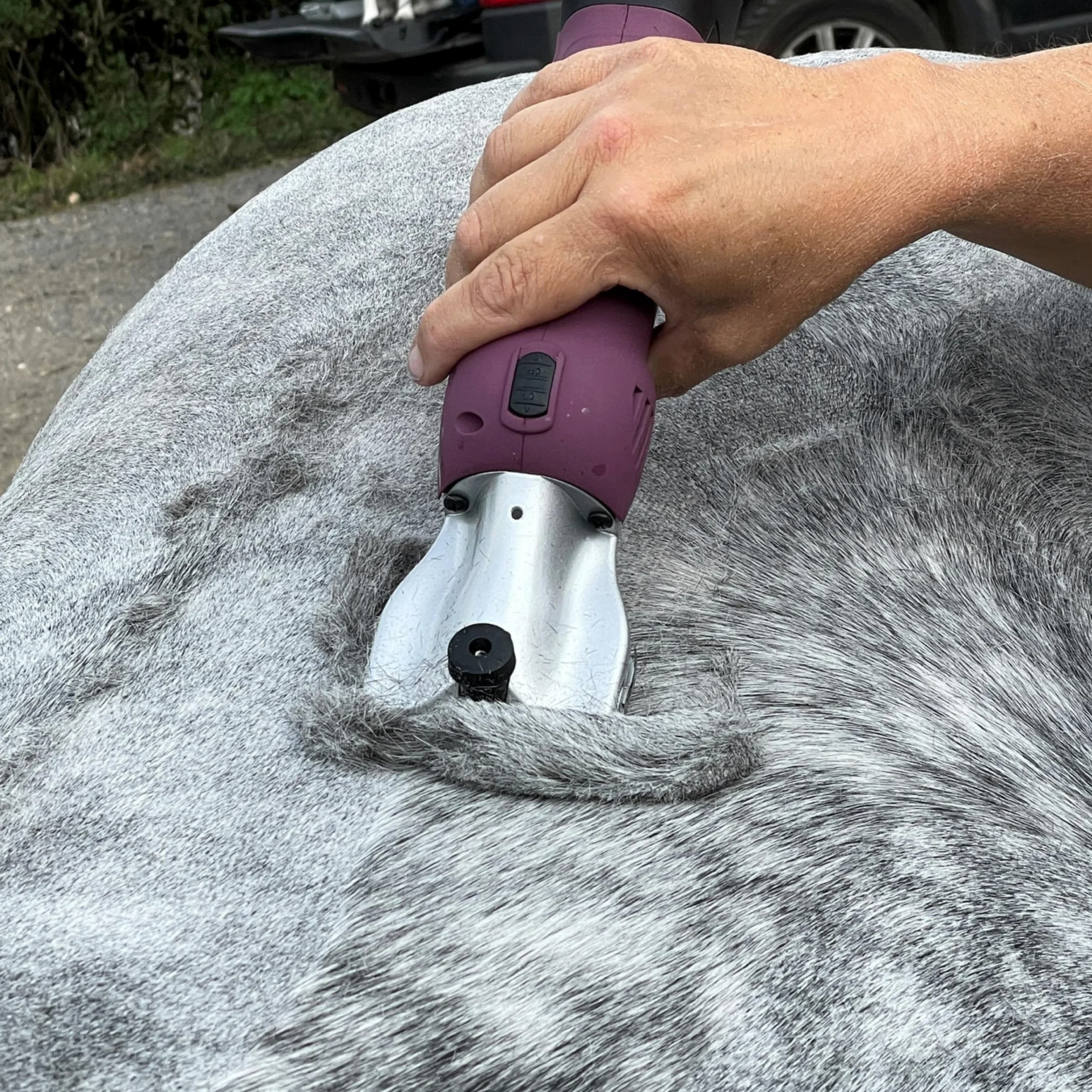 Máquina Masterclip inalámbrica para cortar el pelo de caballo, con 2 baterías