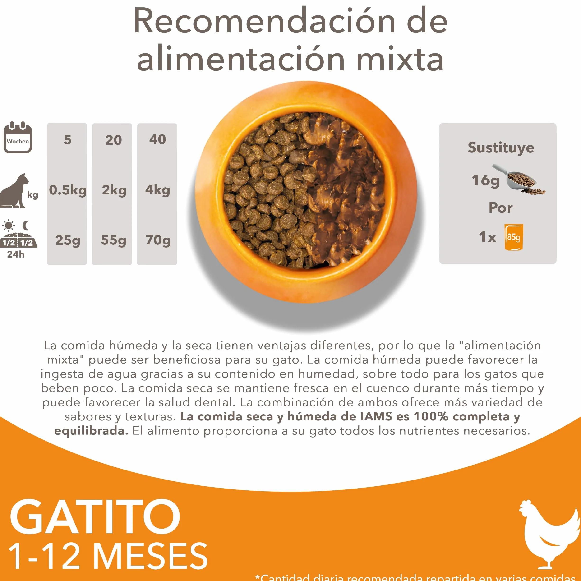 IAMS Alimento seco para gatitos junior de 1-12 meses con pollo fresco, 3 kg