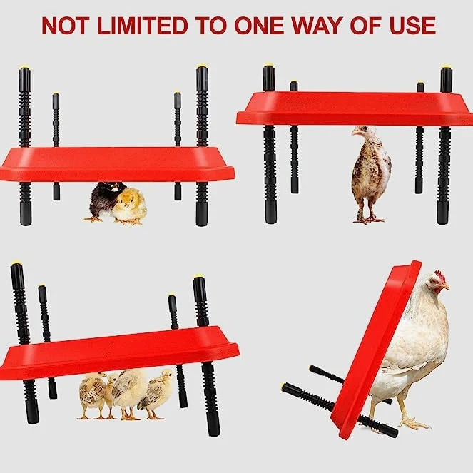 Lámpara de Calor para Pollitos, Calentador, Caja criadora de Aves de Corral, lámpara de Calor para Pollitos, termostato (12" x 12"), 20 Pollitos