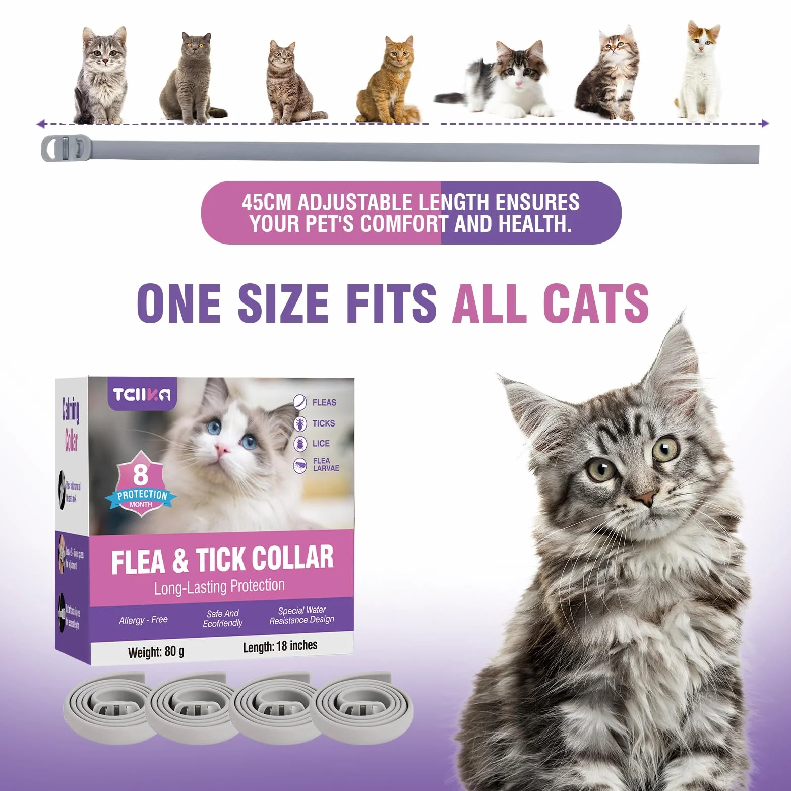 Collar Antiparasitario Gatos Collar Antipulgas Gatos 4piezas Collar Antipulgas y Garrapatas para Gatos Collar Antiparasitario 8meses de ProteccióN Duradera Impermeable TamañO Ajustable Collares Pulgas