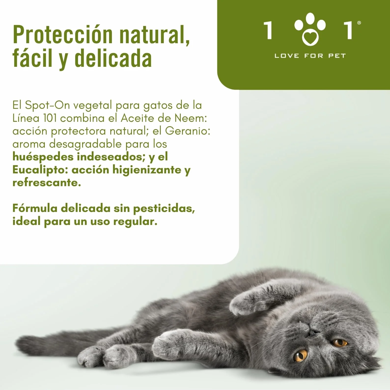 Pipetas Antiparasitarias Gatos 6 de 0,5ml Aantipulgas Gato contra Garrapatas y Mosquitos, Neem y Aceites Esenciales, Larga Duración