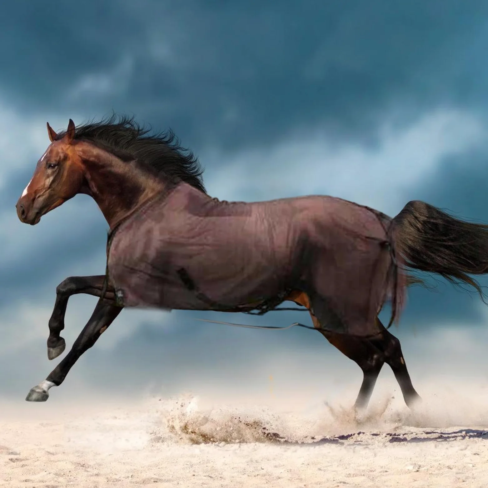 Fundas protectoras para el vientre de caballo, cubierta protectora para caballo, cubierta protectora para el abdomen de caballo, cubierta protectora para el abdomen de caballo