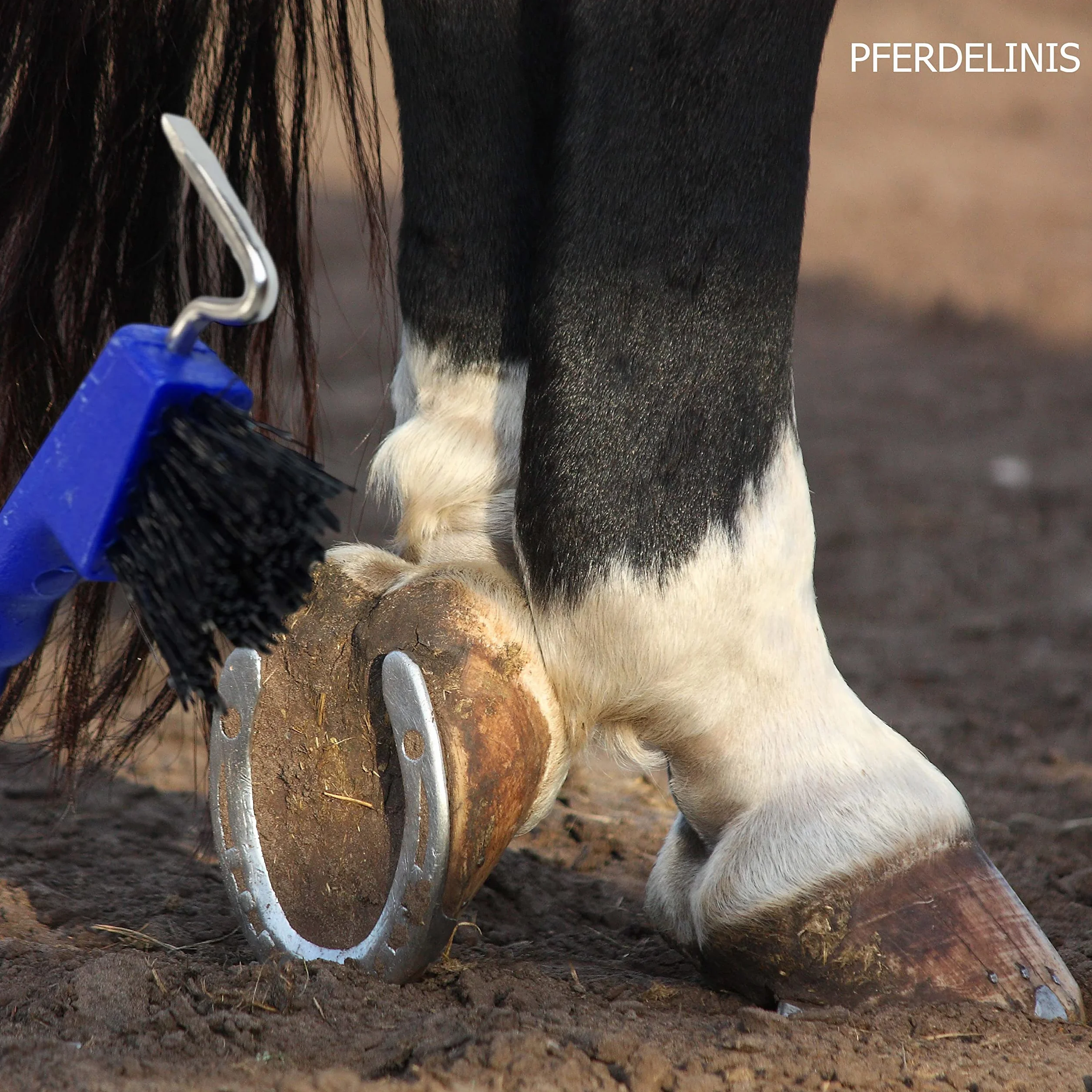 Pferdelinis Rascador de pezuñas para caballos, burros, cabras, pezuñas con cepillo extra estable y mango ergonómico (azul)