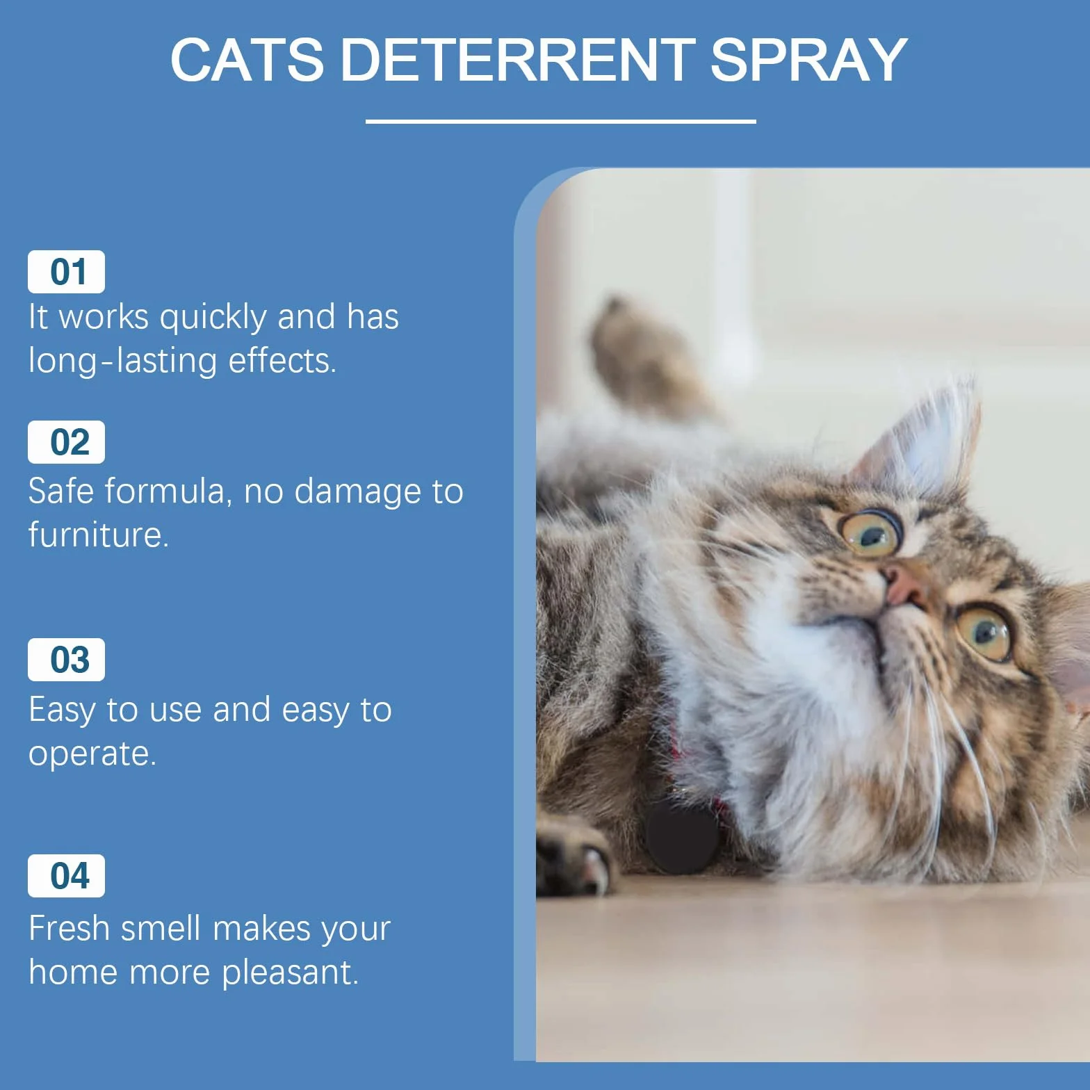 Spray de Entrenamiento para Gatos,Repelente Gatos,Ahuyentador de Gatos,Spray Repelente Gatos,Spray Anti Arañazos para Gatos Sofá,Spray Antiarañazos