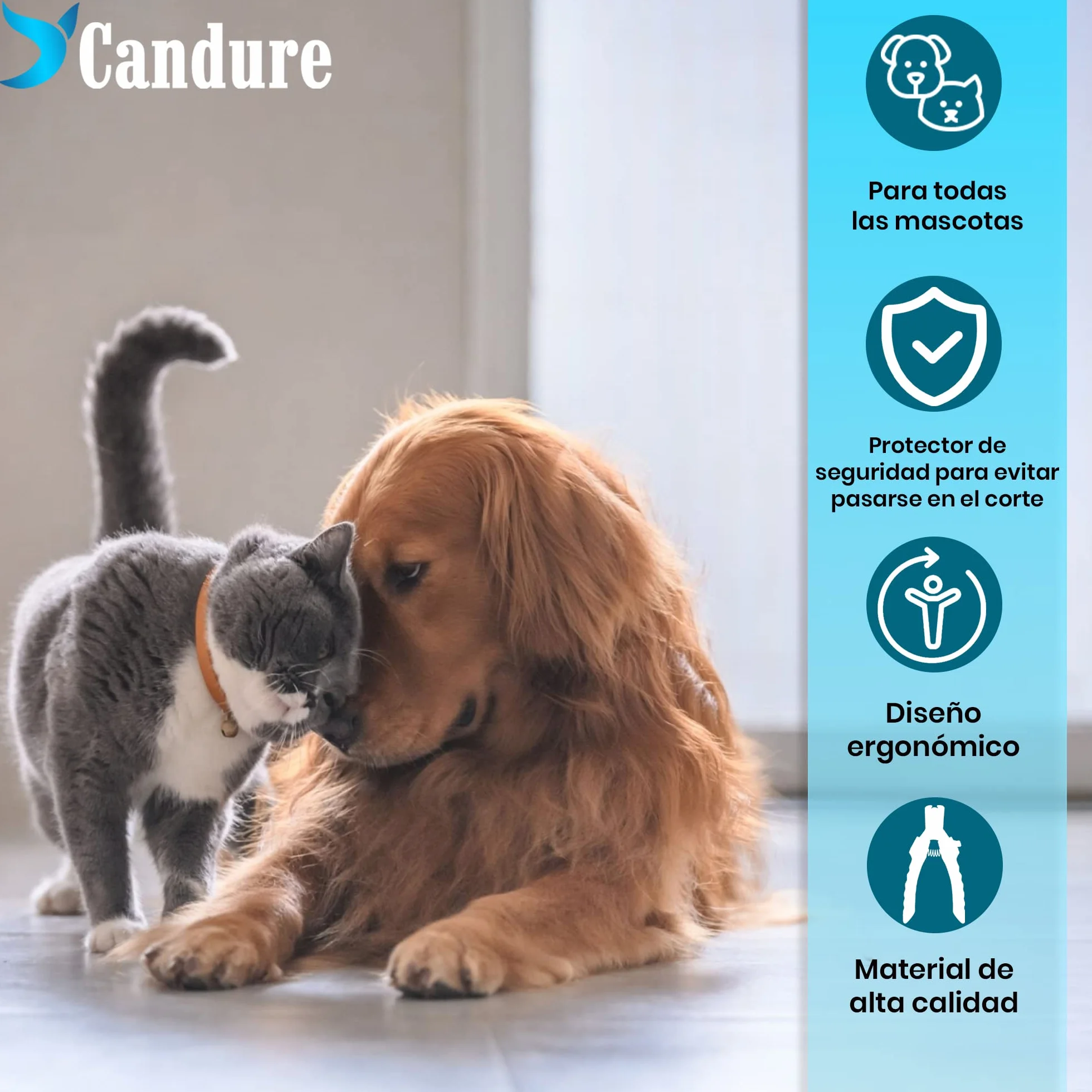 Candure Cortauñas para Perro y Gato con Mascota Protector de Seguridad - Acero Inoxidable Alicates Uñas Profesionales para Mascotas Perros, Gatos, Conejas y Veterinaria Utilizar 6" Pulgadas