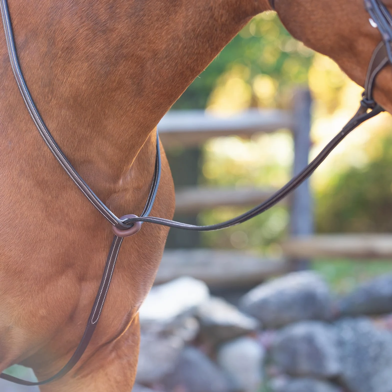Equinavia Saga Martingala de pie ajustable de cuero con herrajes de acero inoxidable, marrón chocolate, mazorca
