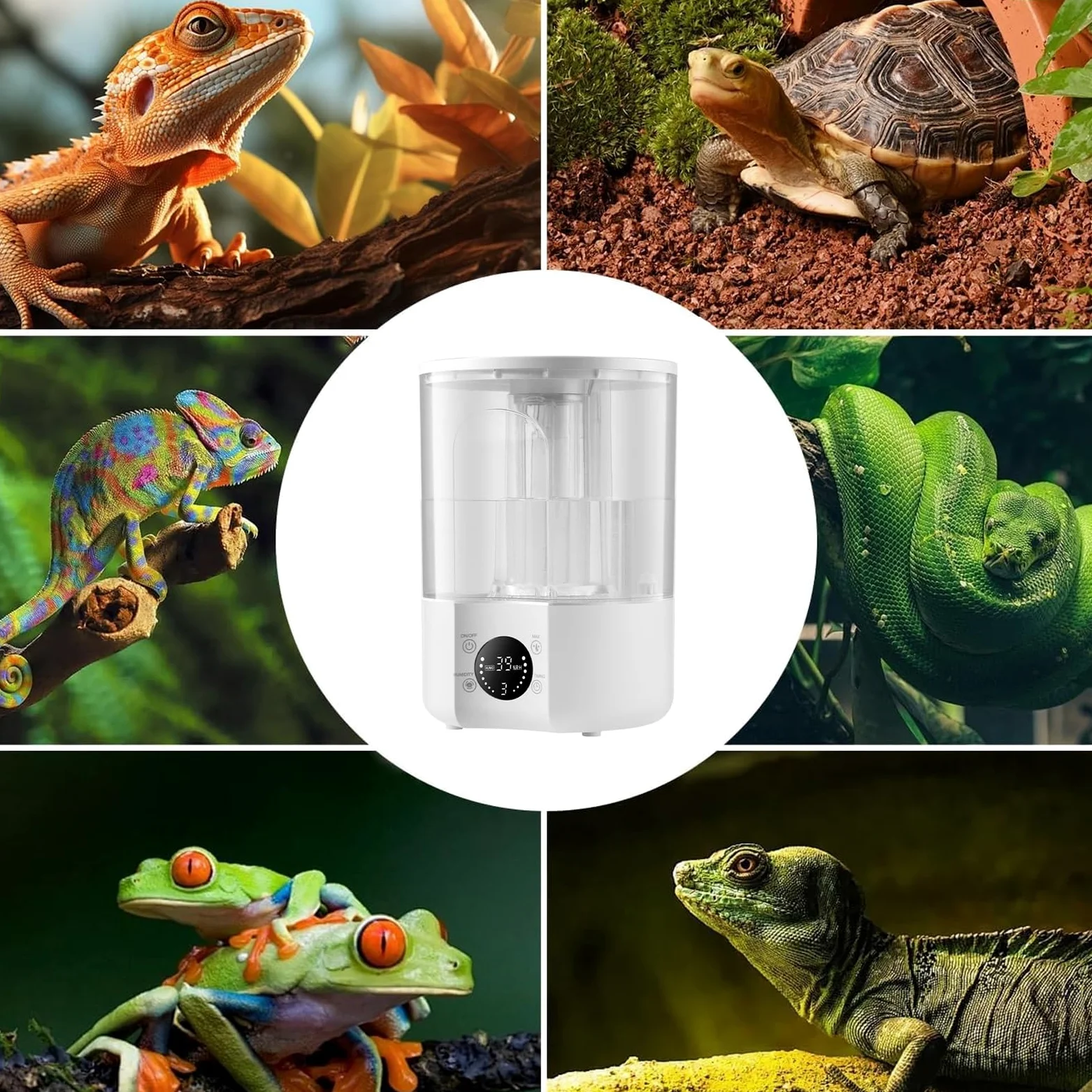 Humidificador Nebulizador Corn Snake, Humidificador de Terrario Green Tree Python de 4 L con Llenado Superior(Double Tube)
