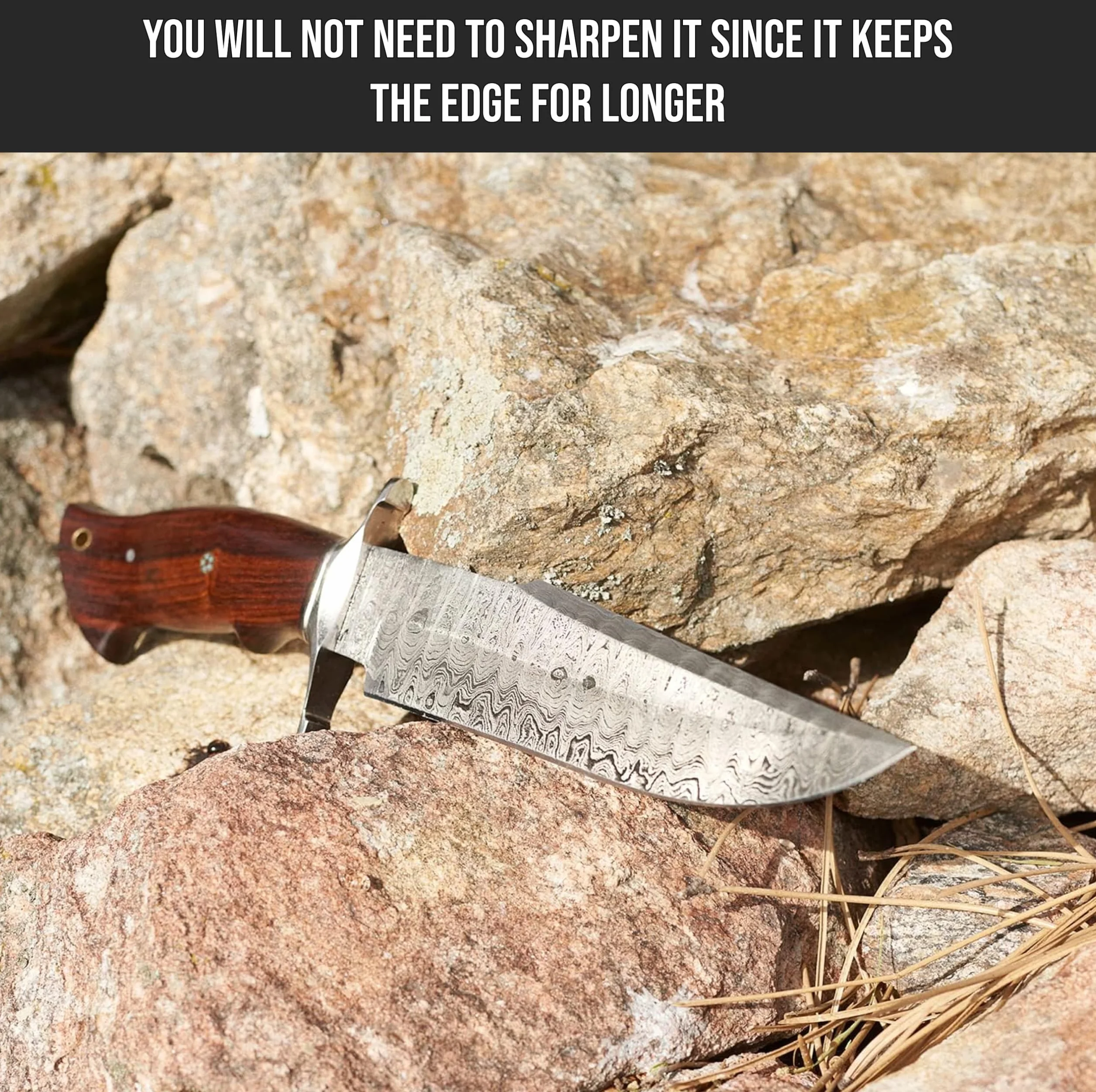 BIGCAT ROAR Cuchillo de caza de Damasco hecho a mano - 38 cm Hoja fija con funda y mango de nogal