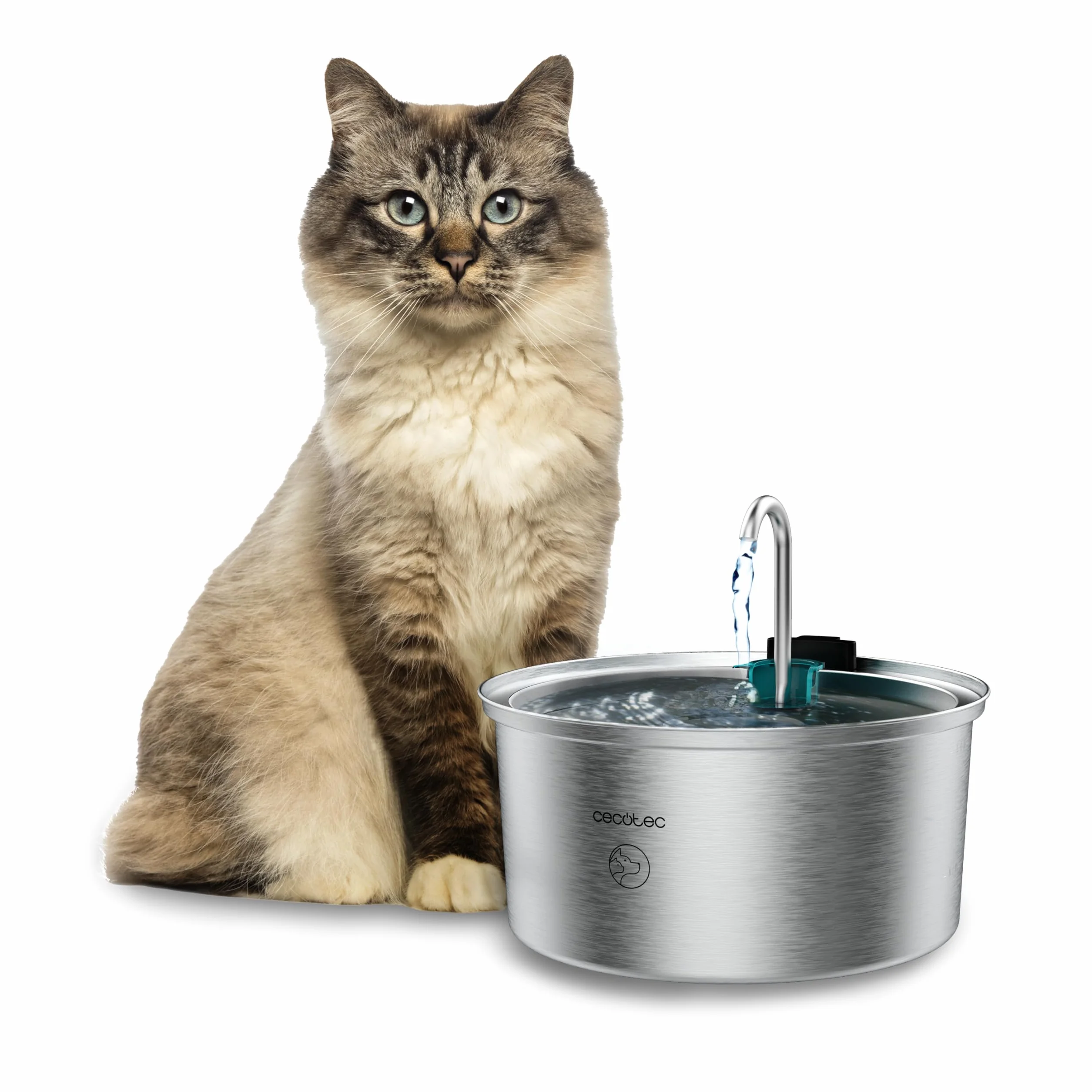 Cecotec Fuente para Gatos Automática Mascotas Pumba 3200 Refresh INOX. Capacidad de 3,2L, Acero Inoxidable, Filtro Alto Rendimiento, Silenciosa, Diseño de Cascada, IPX4, Fácil Limpieza
