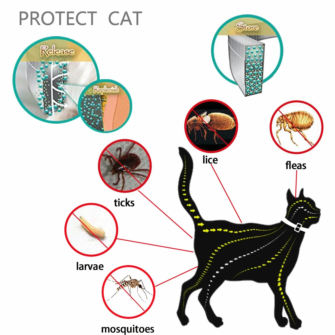 DEWEL Collar Gato contra Pulgas, Garrapatas y Mosquitos, Collar Antipulgas y Garrapatas 33 cm para Gatos y Perros Pequeños y Medianos, 8 Meses de Protección