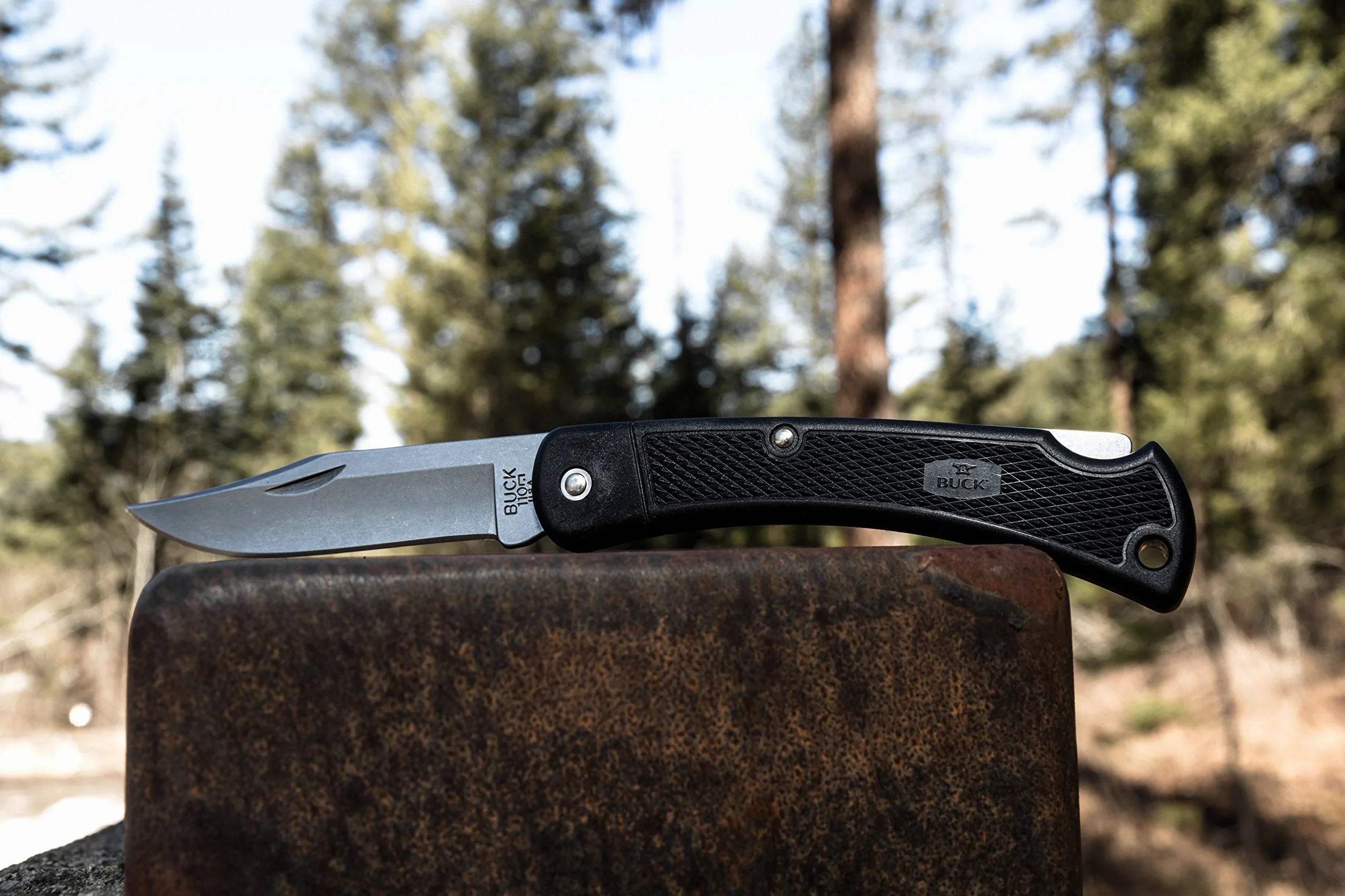 Buck Folding Hunter Navaja