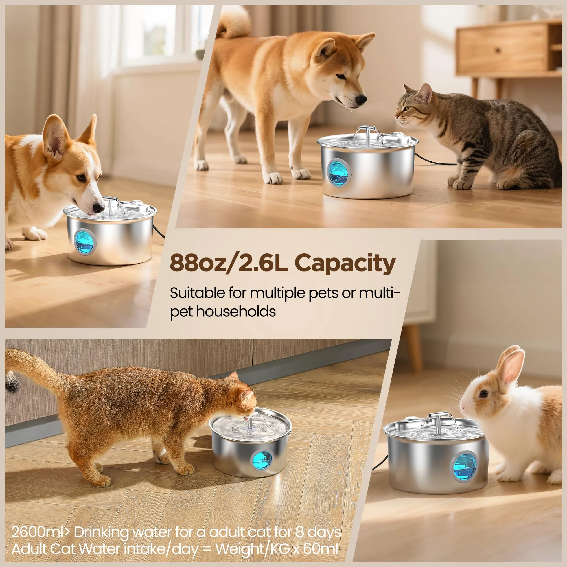 Fuente de Agua para Gatos de Acero Inoxidable: Fuente de Agua para Gatos - Fuente de Agua para Gatos de Interior - Cuenco Dispensador Automático de Agua para Mascotas