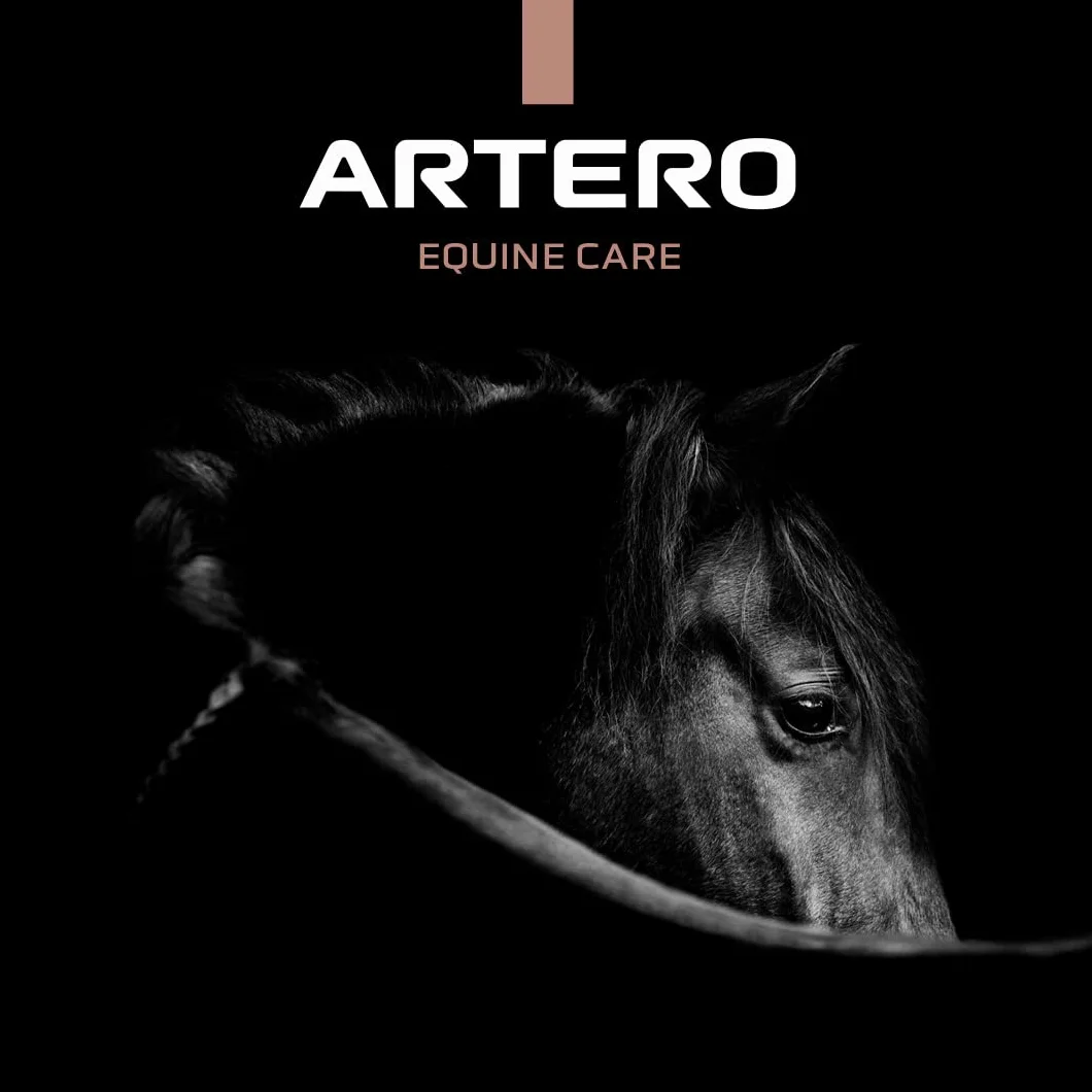 Artero Up & Down F2 Peine para crin y cola de caballo de bambú