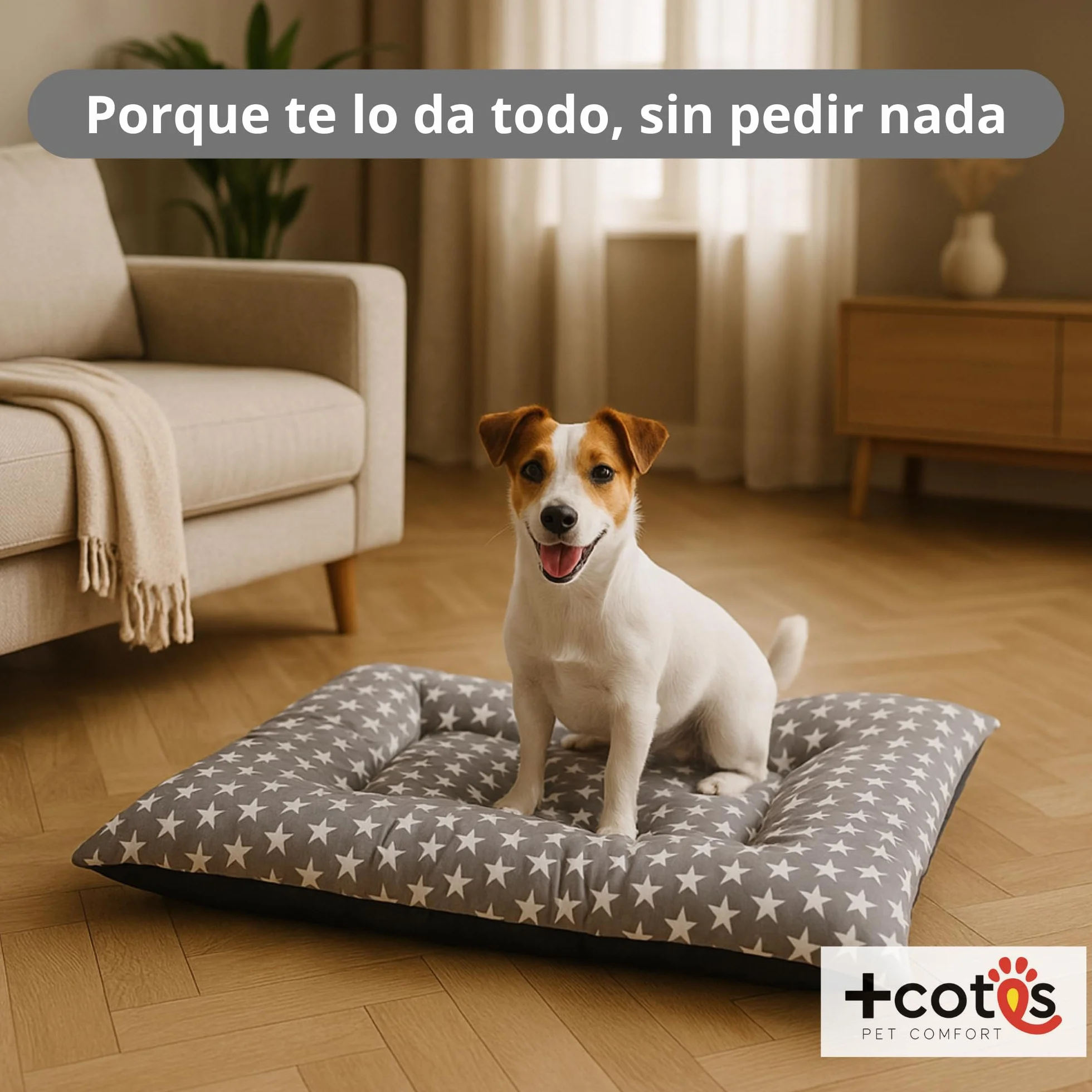 Cama Cachorro Perro Pequeño Espuma Acolchada Colchoneta Tacto Suave Tejido Transpirable Base Antideslizante Funda de algodón loneta Ligera cómoda Lavable Fácil de Transportar 45X65X5 Estrellas +Cotes