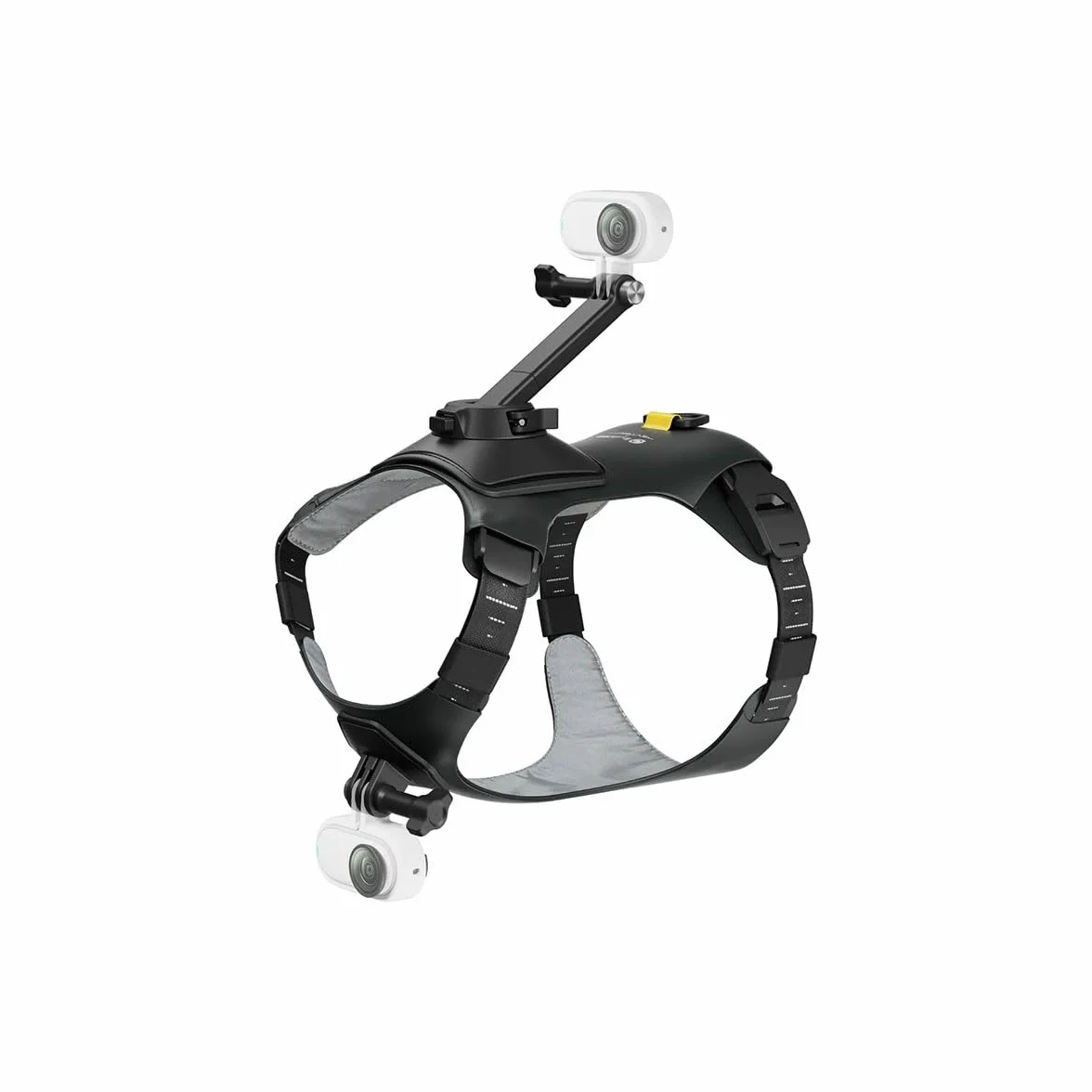 Insta360 GO 3/GO 3S - Soporte de arnés para mascotas, talla S (GO Ultra)