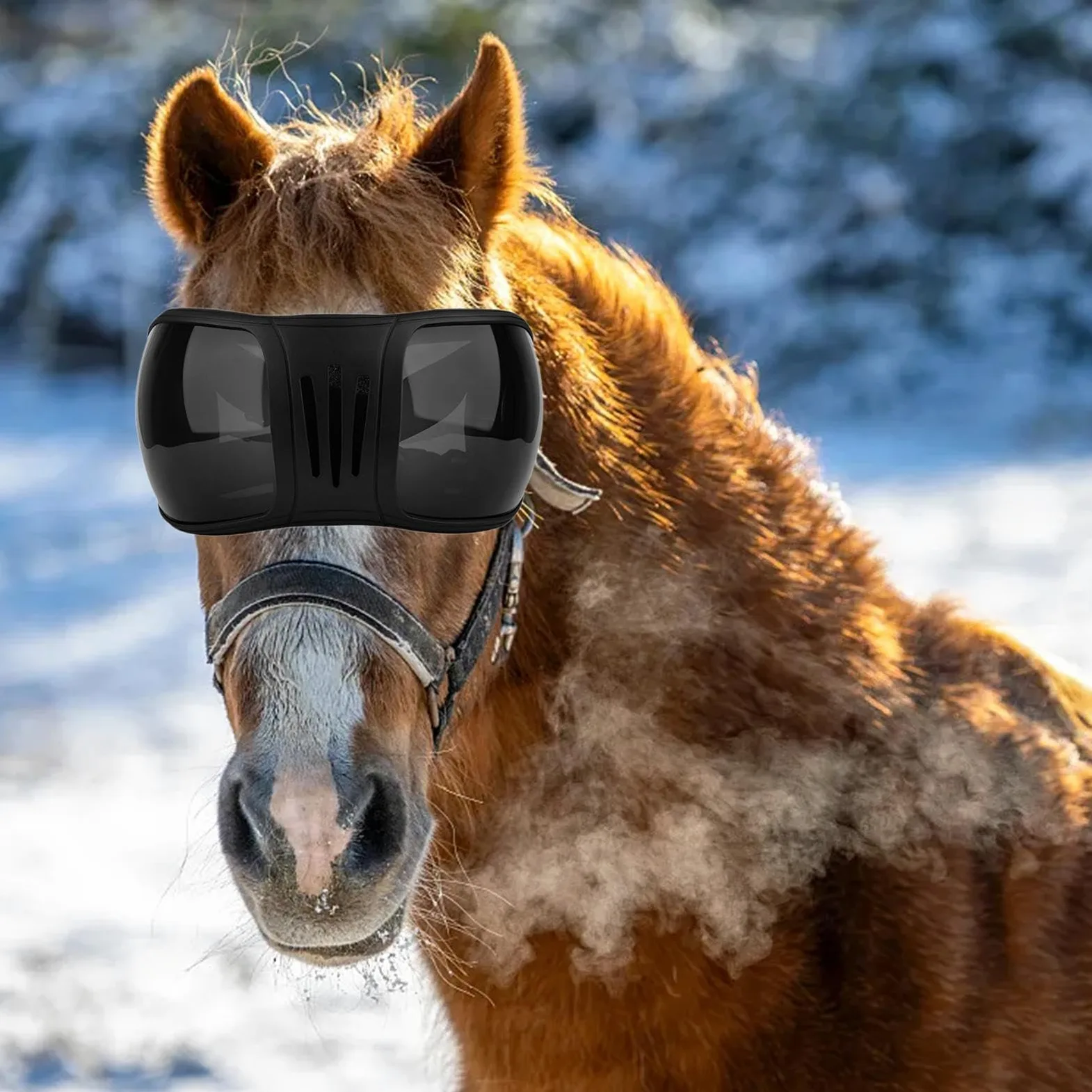 Milageto Gafas de equitación para protección Ocular de Caballos, Gafas ecuestres Multiusos a Prueba de Viento, Gafas Protectoras para Caballos para Exteriores